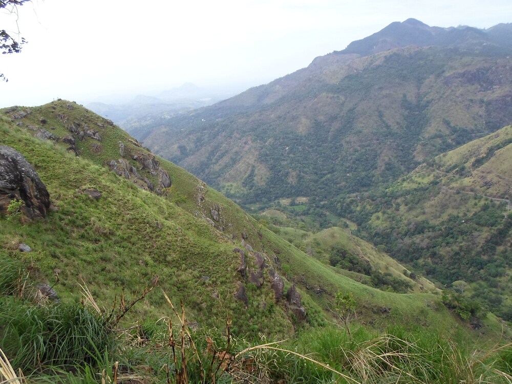 Samadhi Nature Resort
