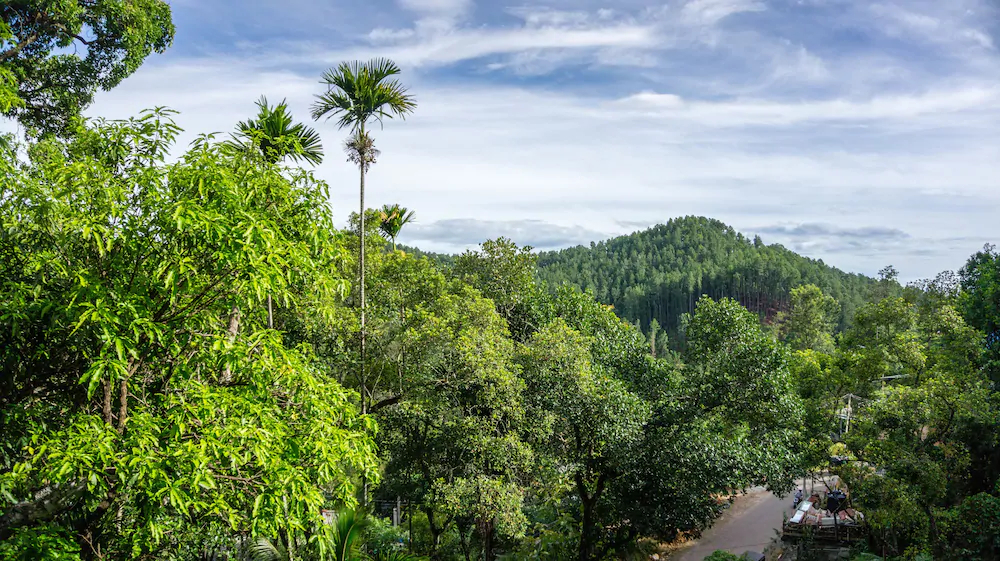Samadhi Nature Resort