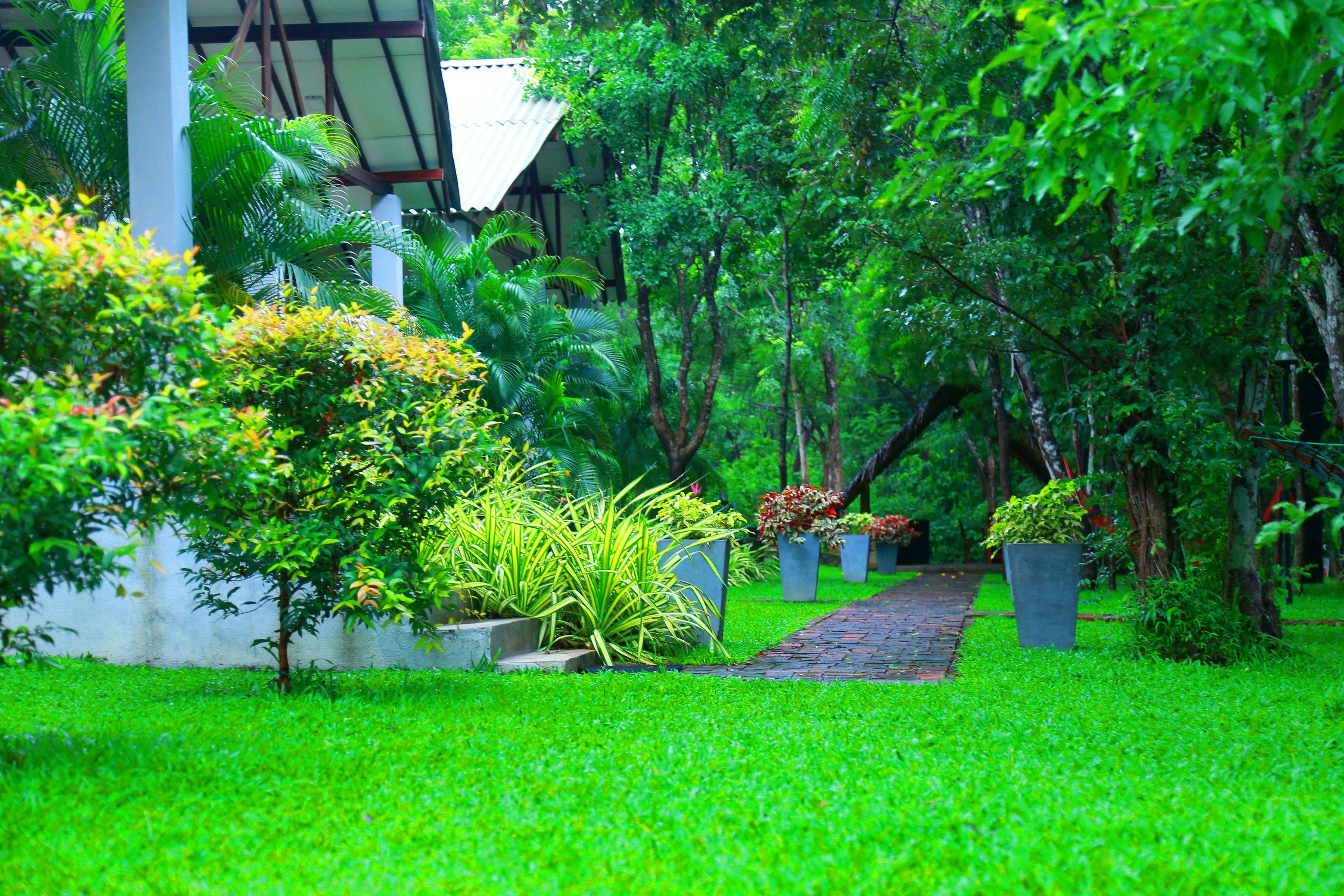 Hotel Viverra