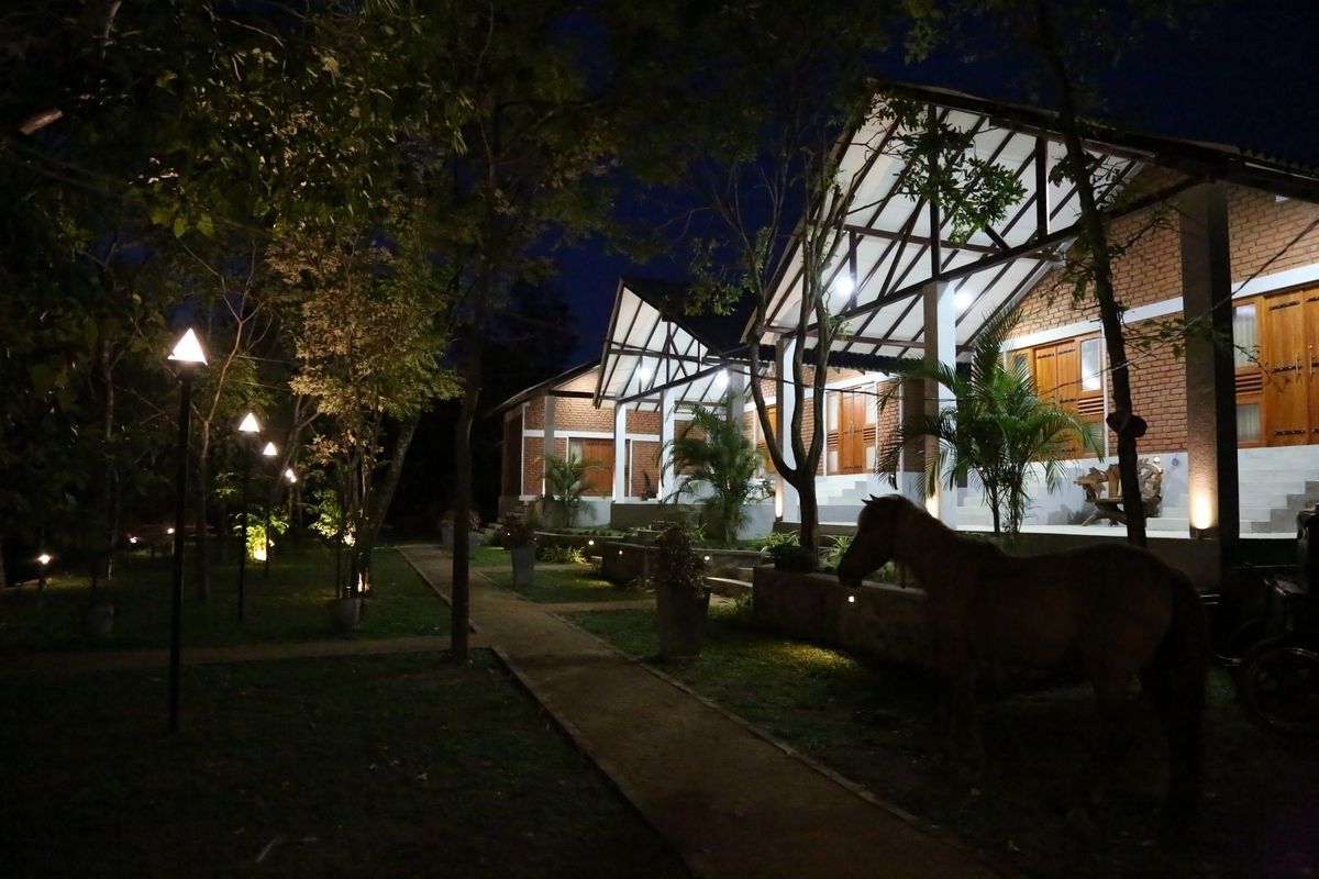 Hotel Viverra