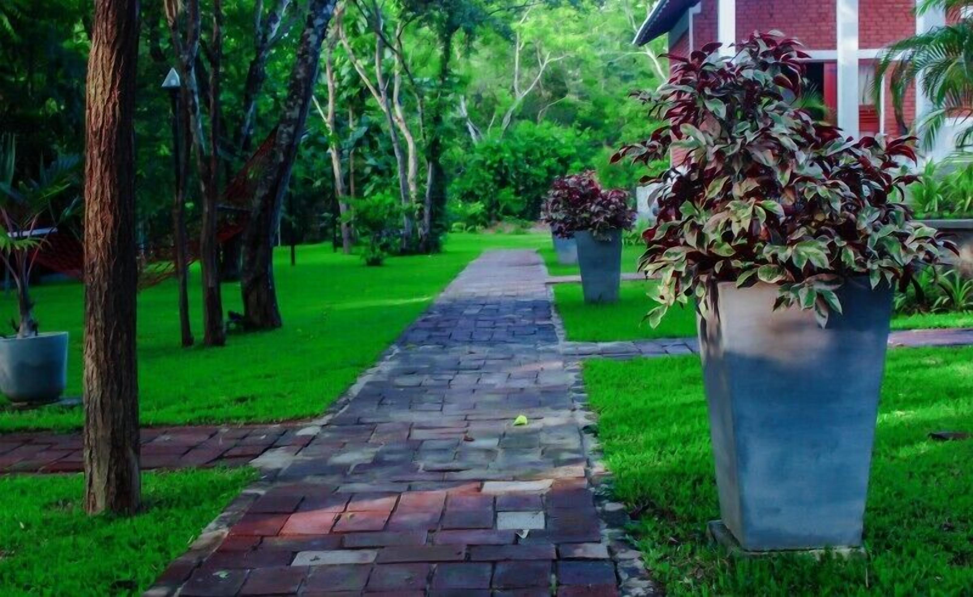 Hotel Viverra