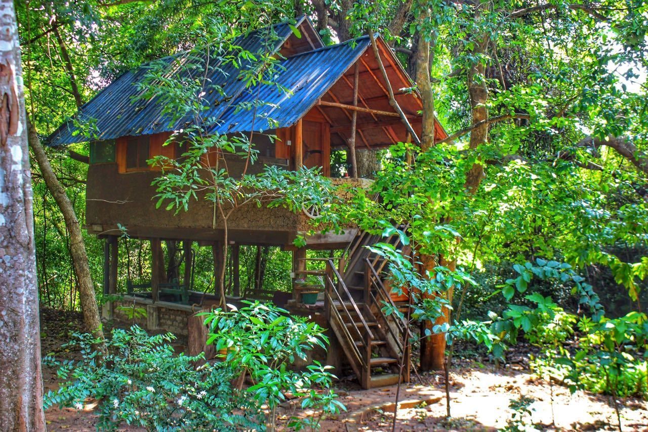 Book Jungle
