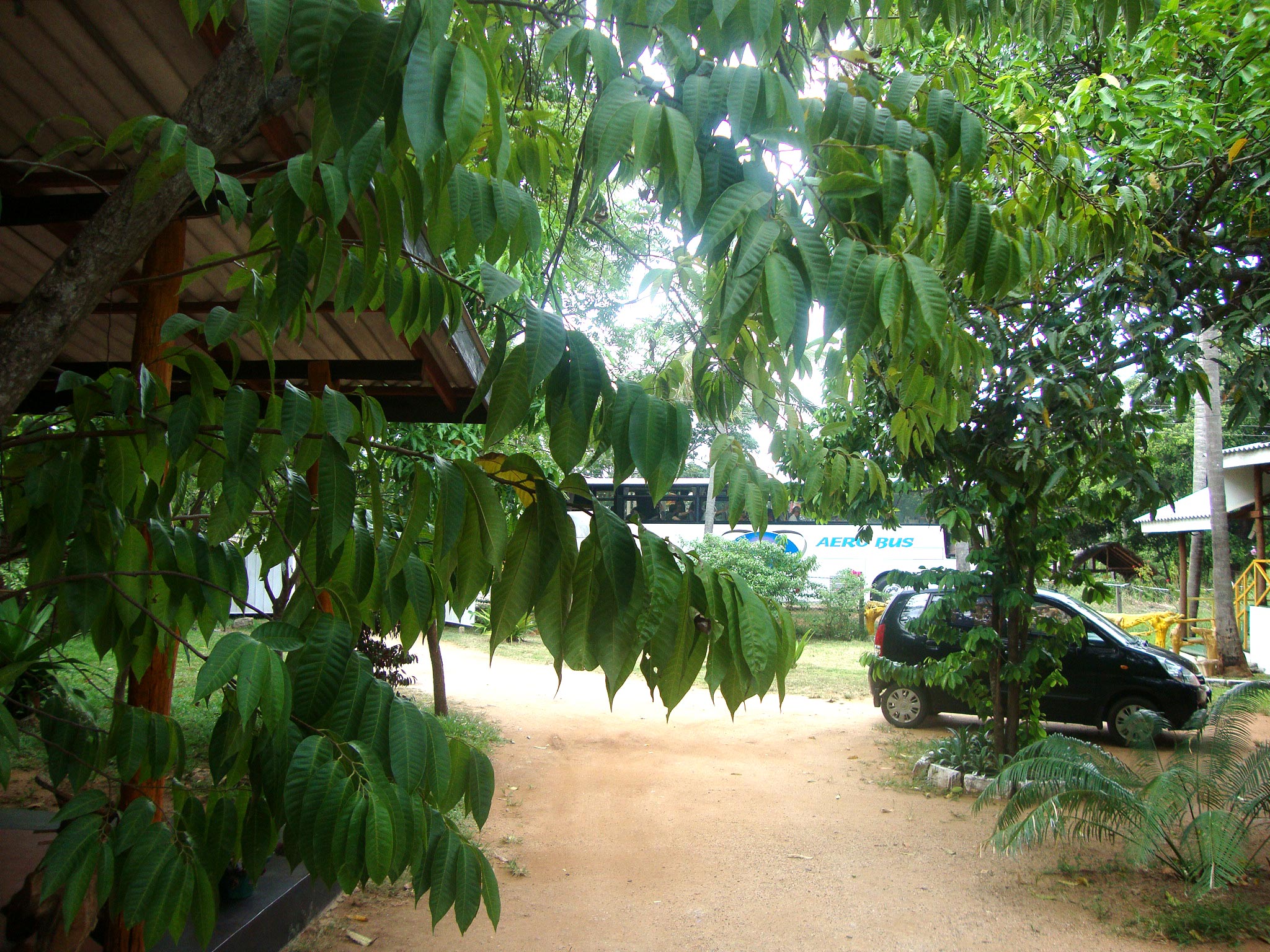 Budget Hotel Habarana