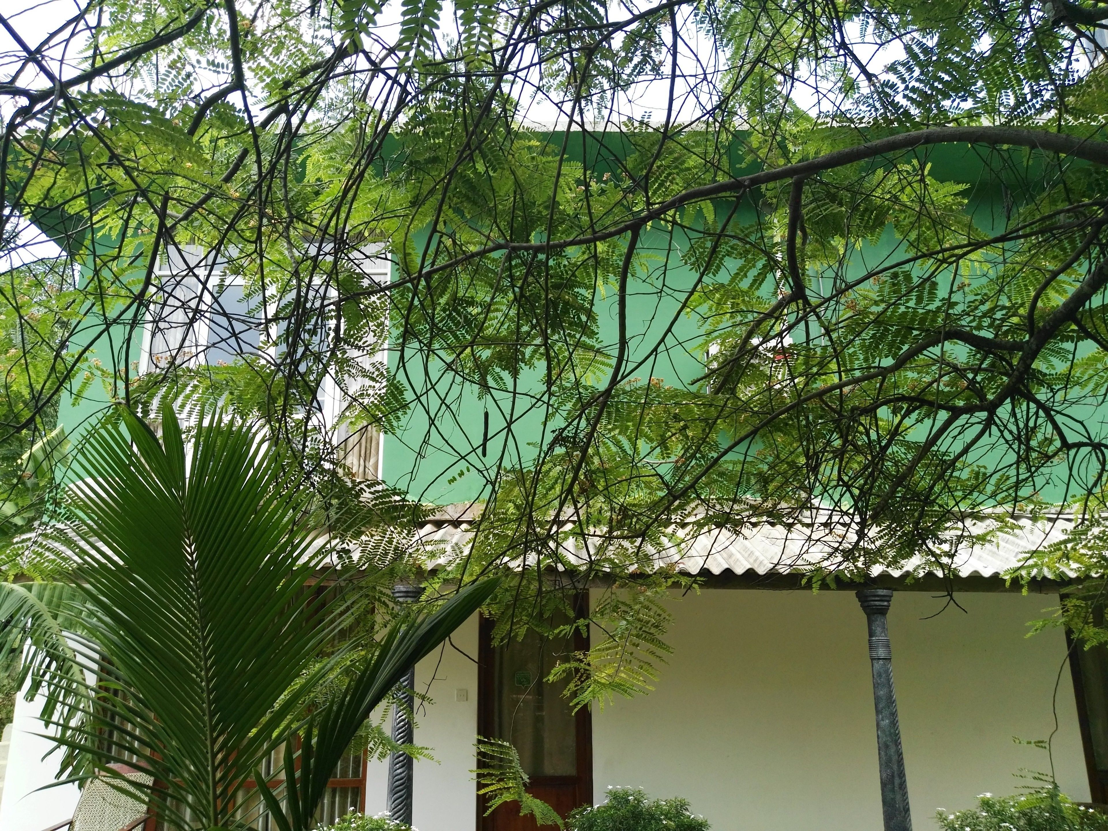 Mihini Hotel