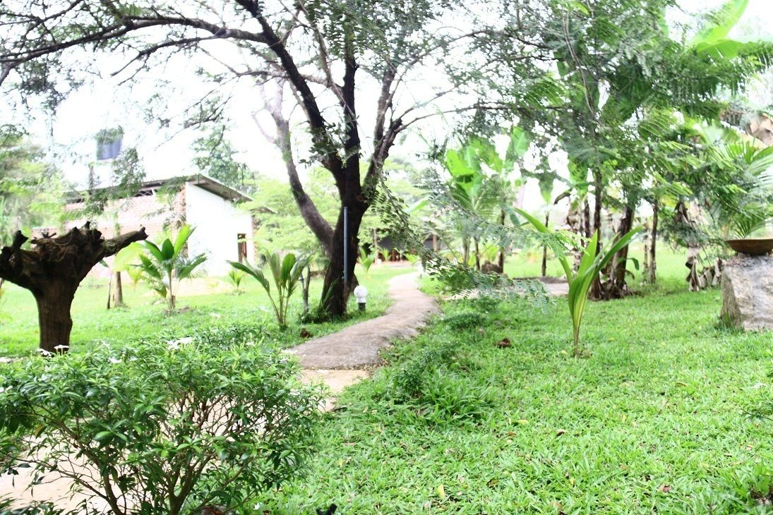 Mihini Hotel