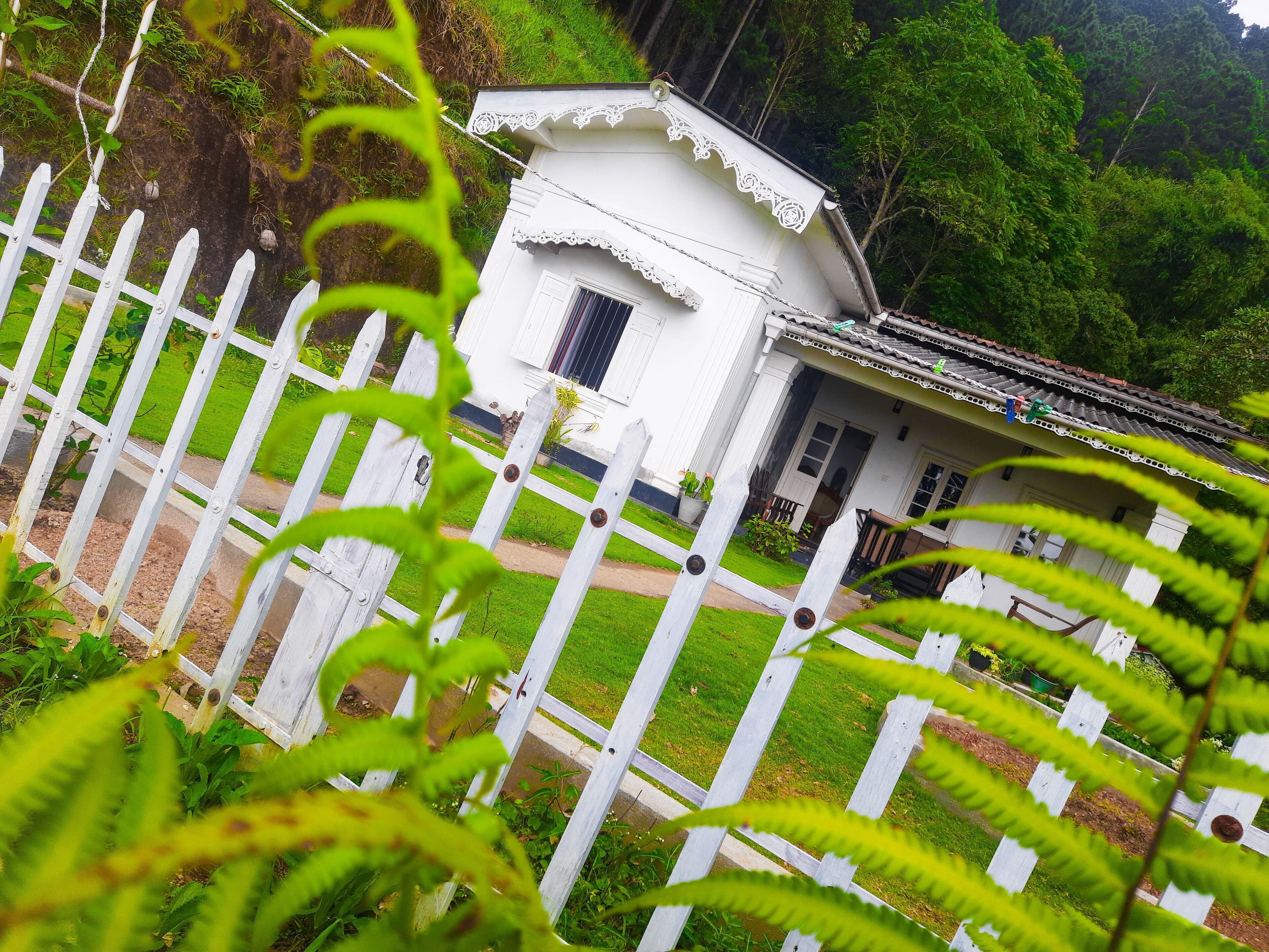 Hill House Haldummulla