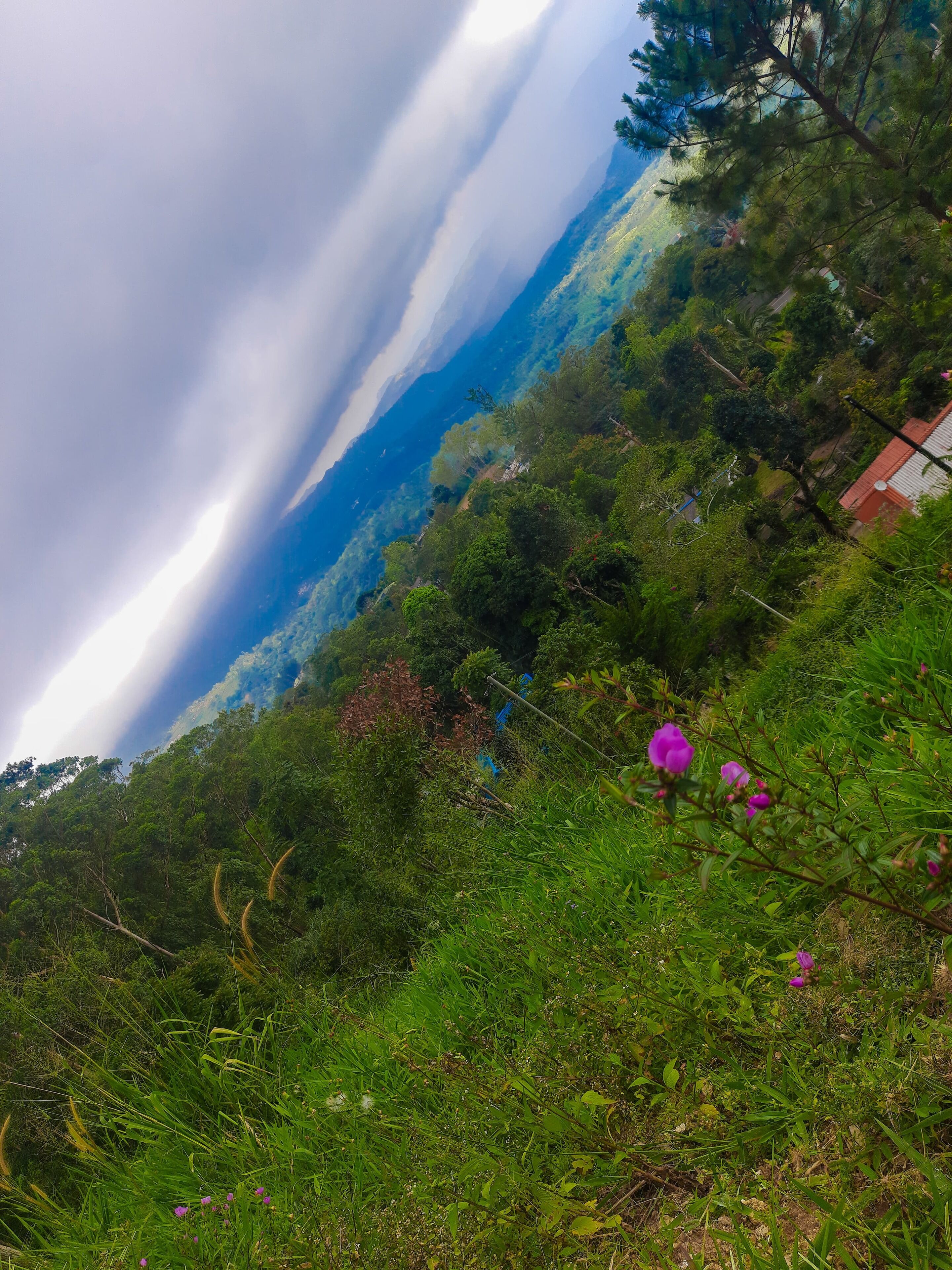 Hill House Haldummulla