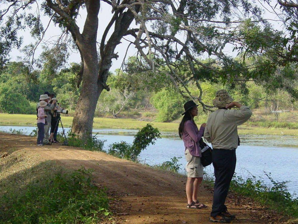 Mahoora Tented Safari Camp - Bundala