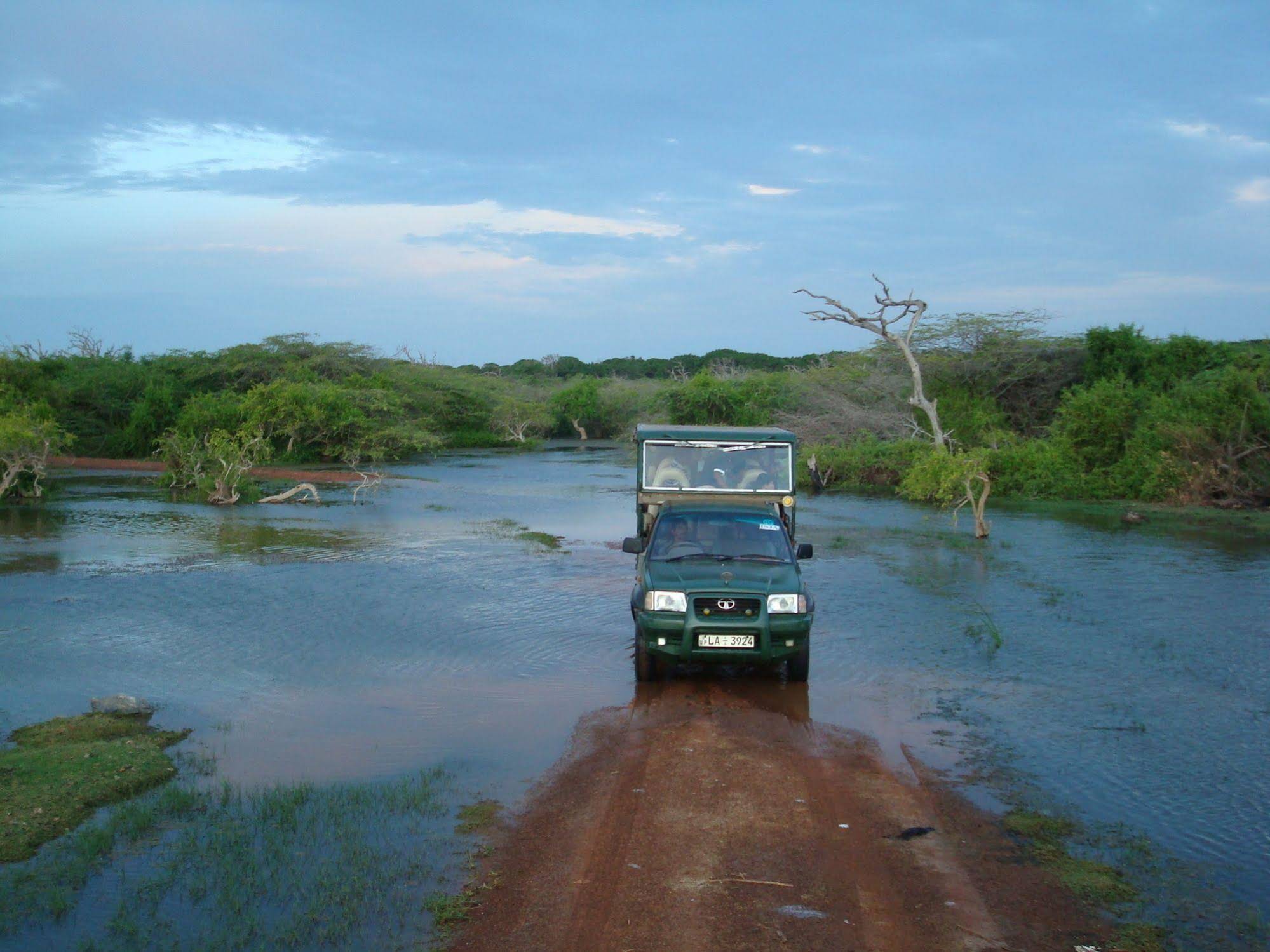 Mahoora Tented Safari Camp - Bundala