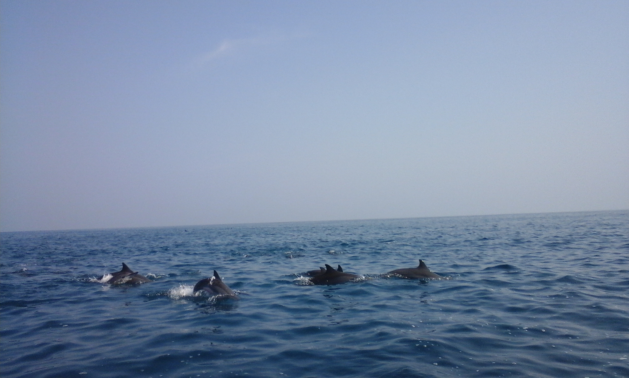 Ruveesha Beach Resort
