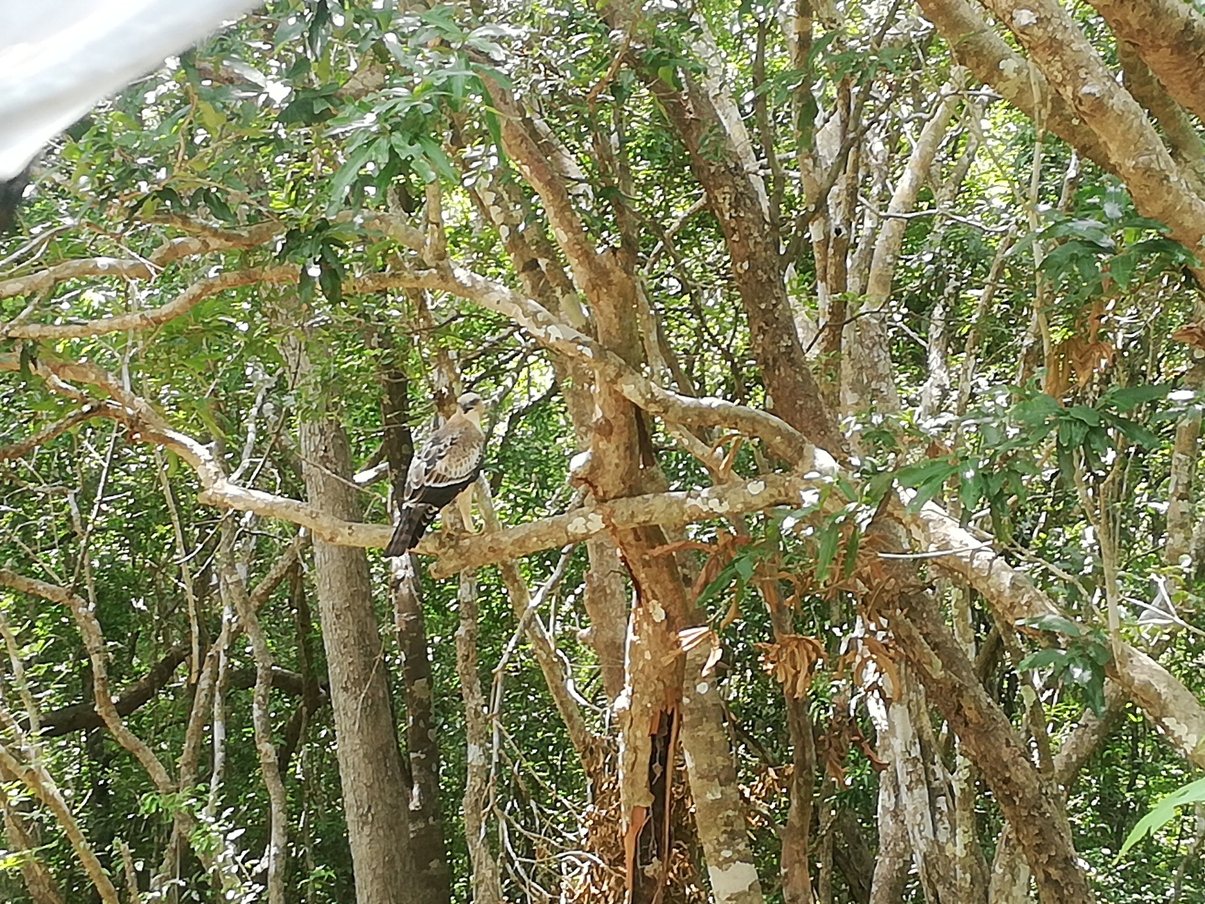 Seth Dev Lagoon Chalets