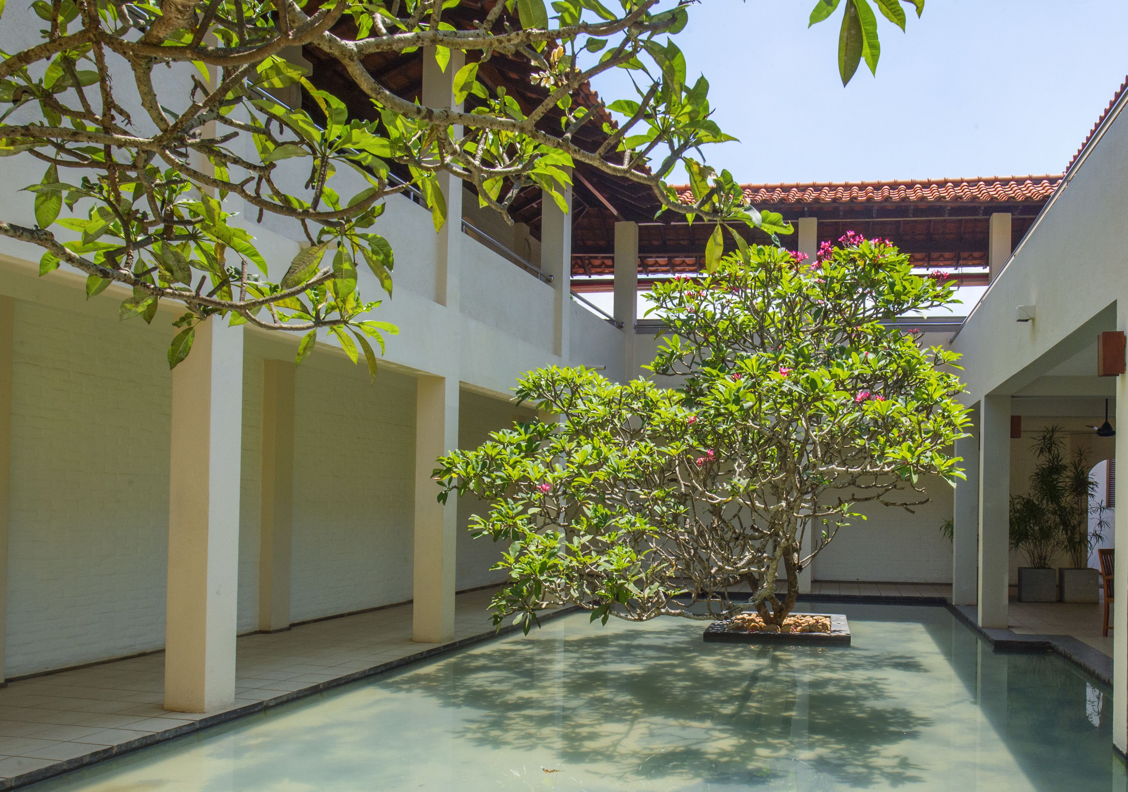 Mermaid Hotel & Club