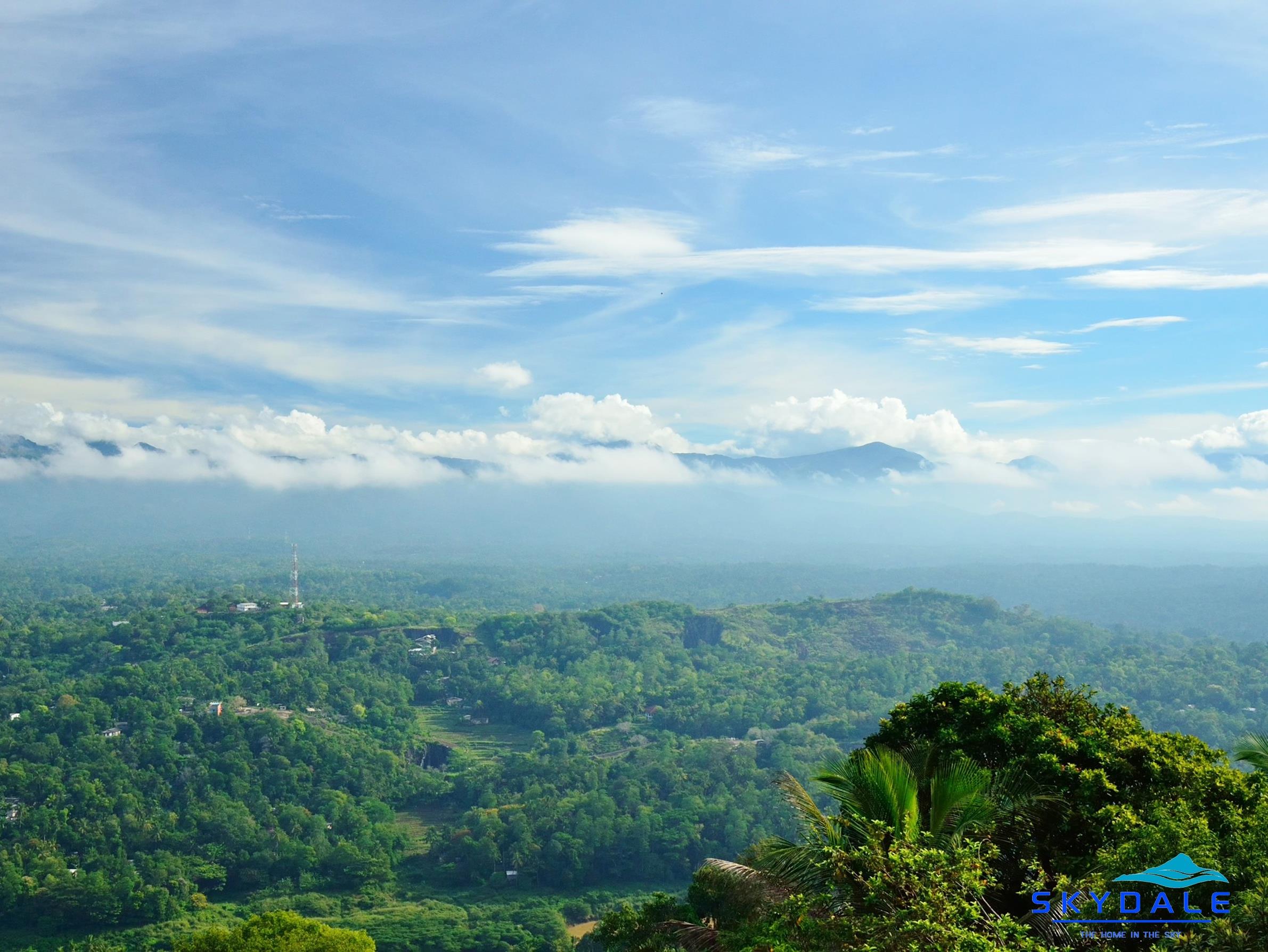 Skydale Homestay