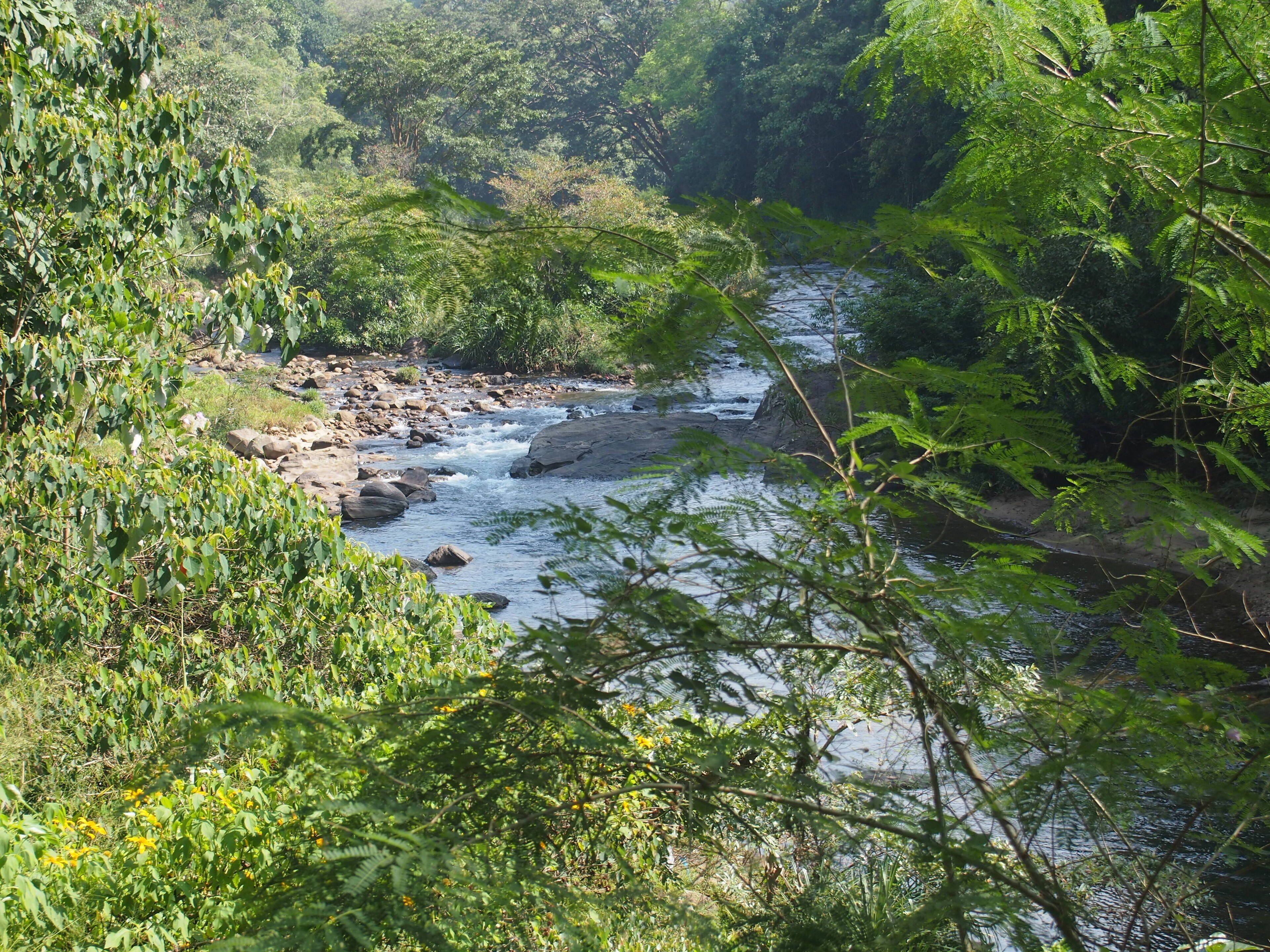 The Kandy Samadhi Center