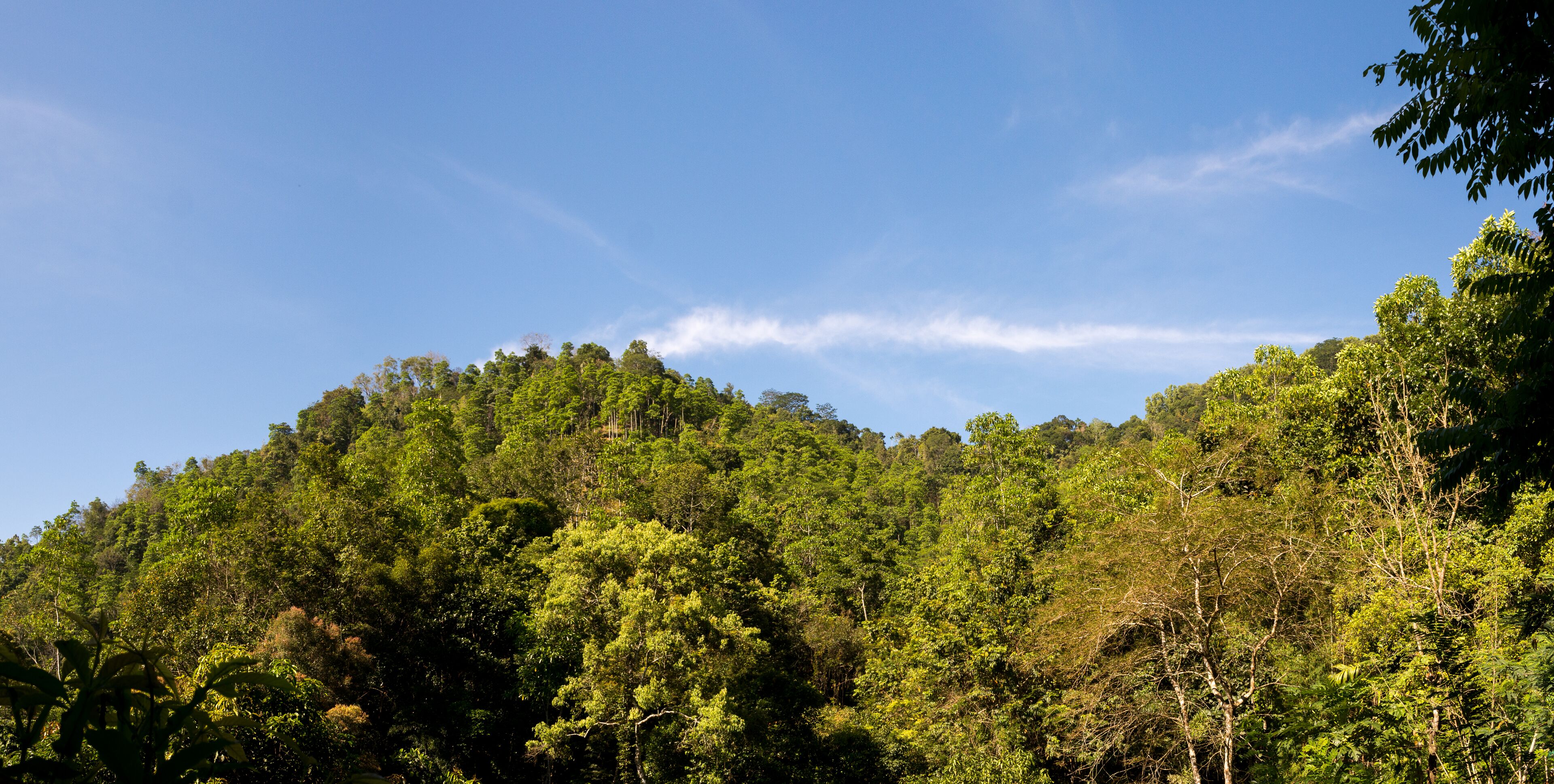 The Kandy Samadhi Center