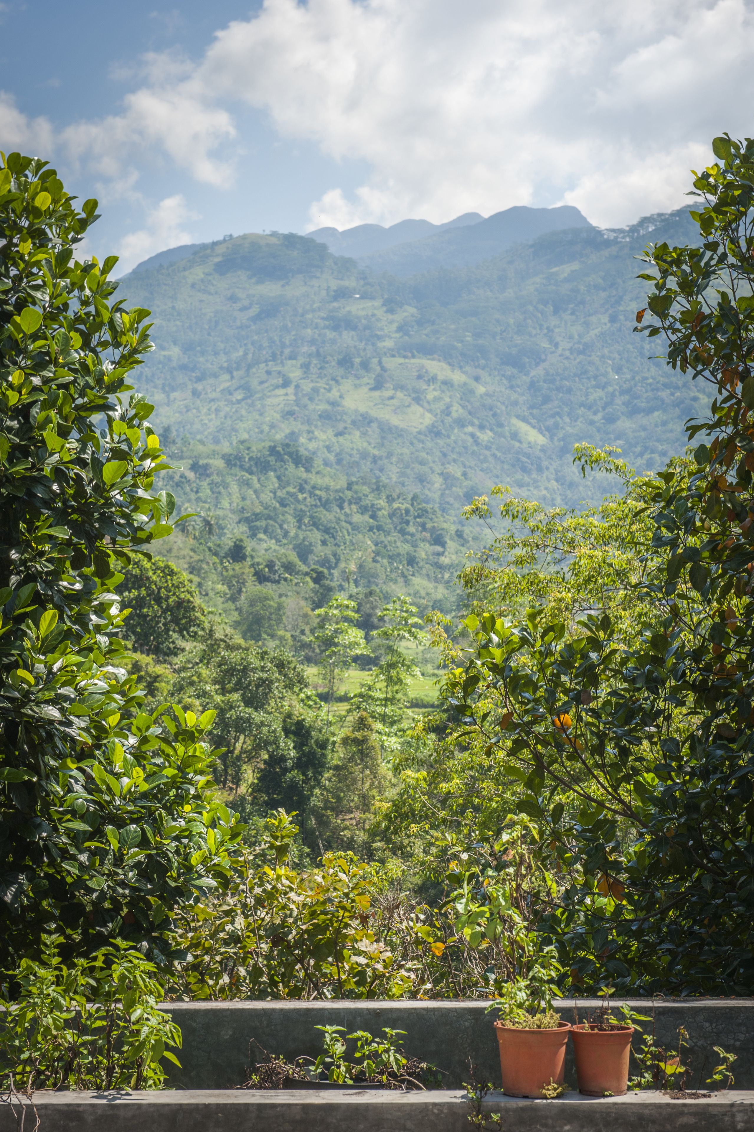 The Kandy Samadhi Center