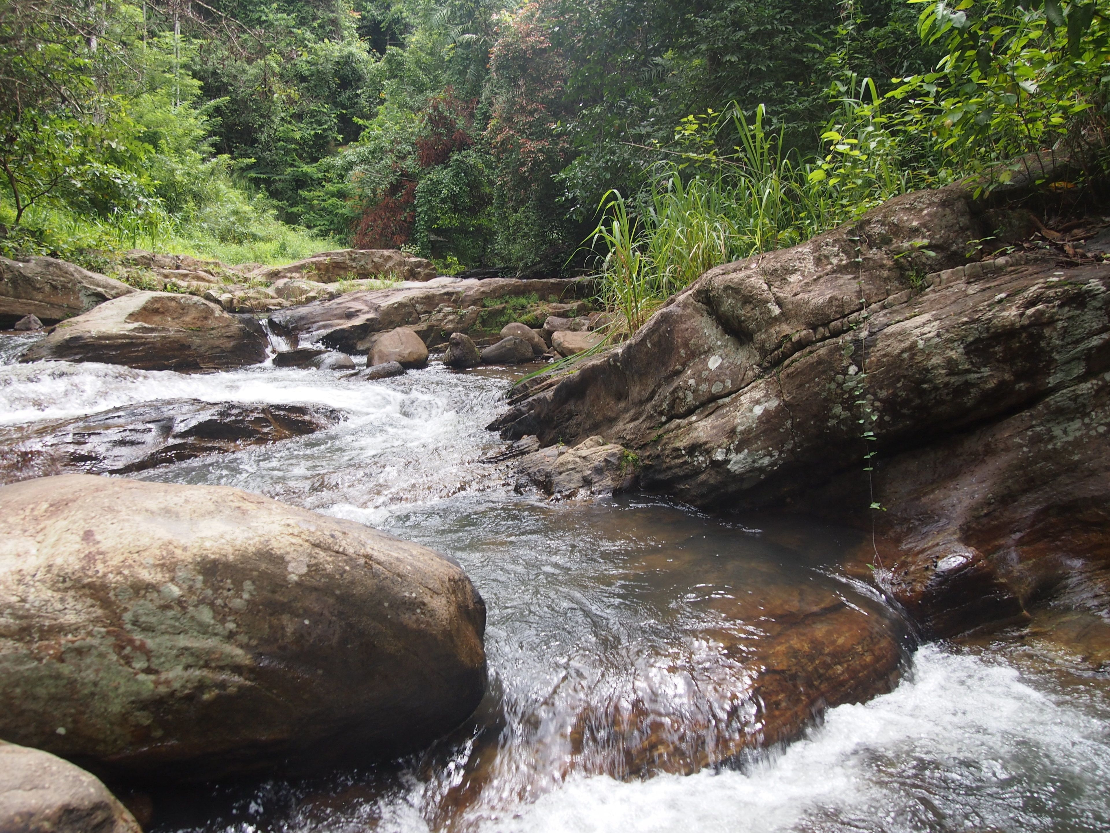 The Kandy Samadhi Center