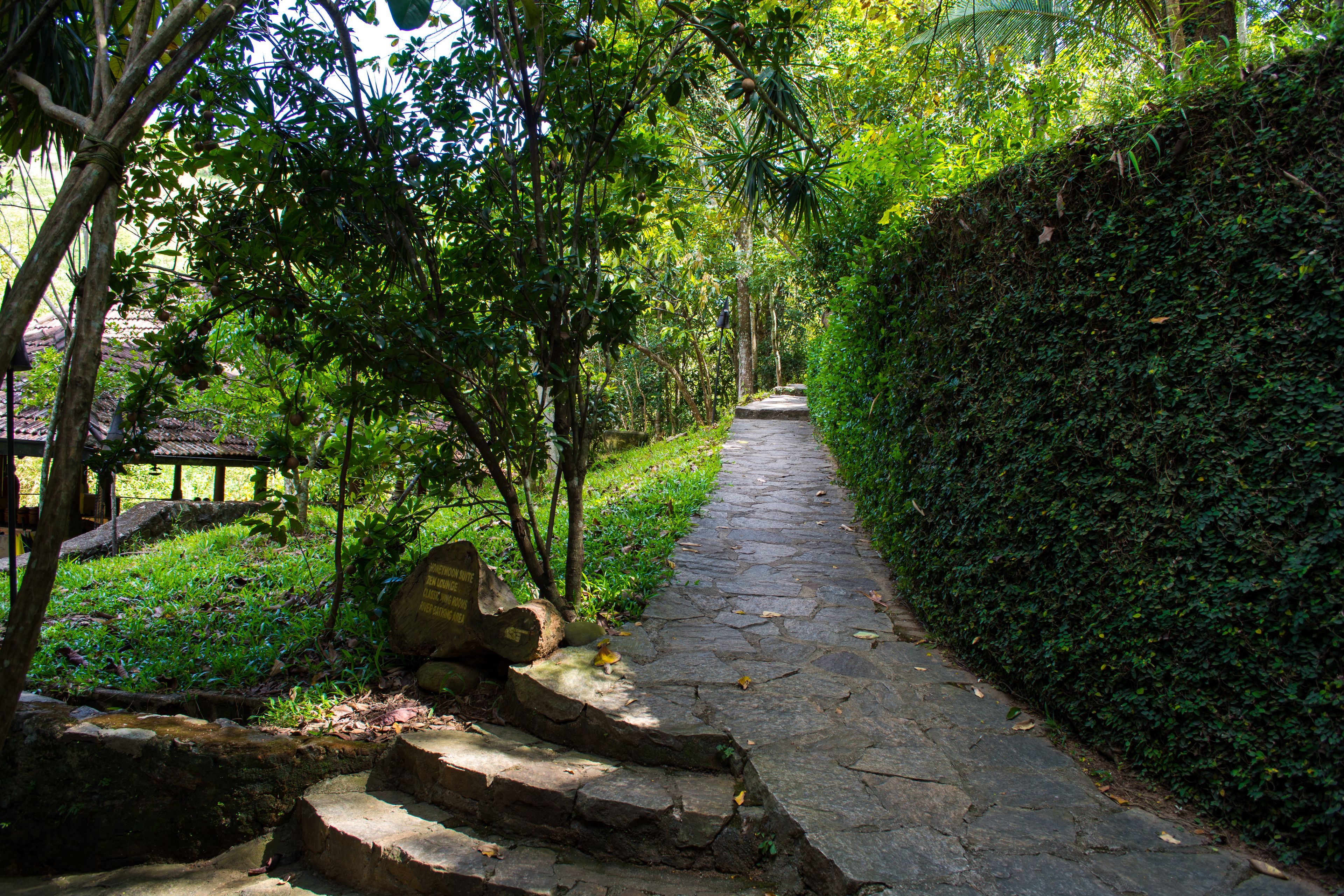 The Kandy Samadhi Center