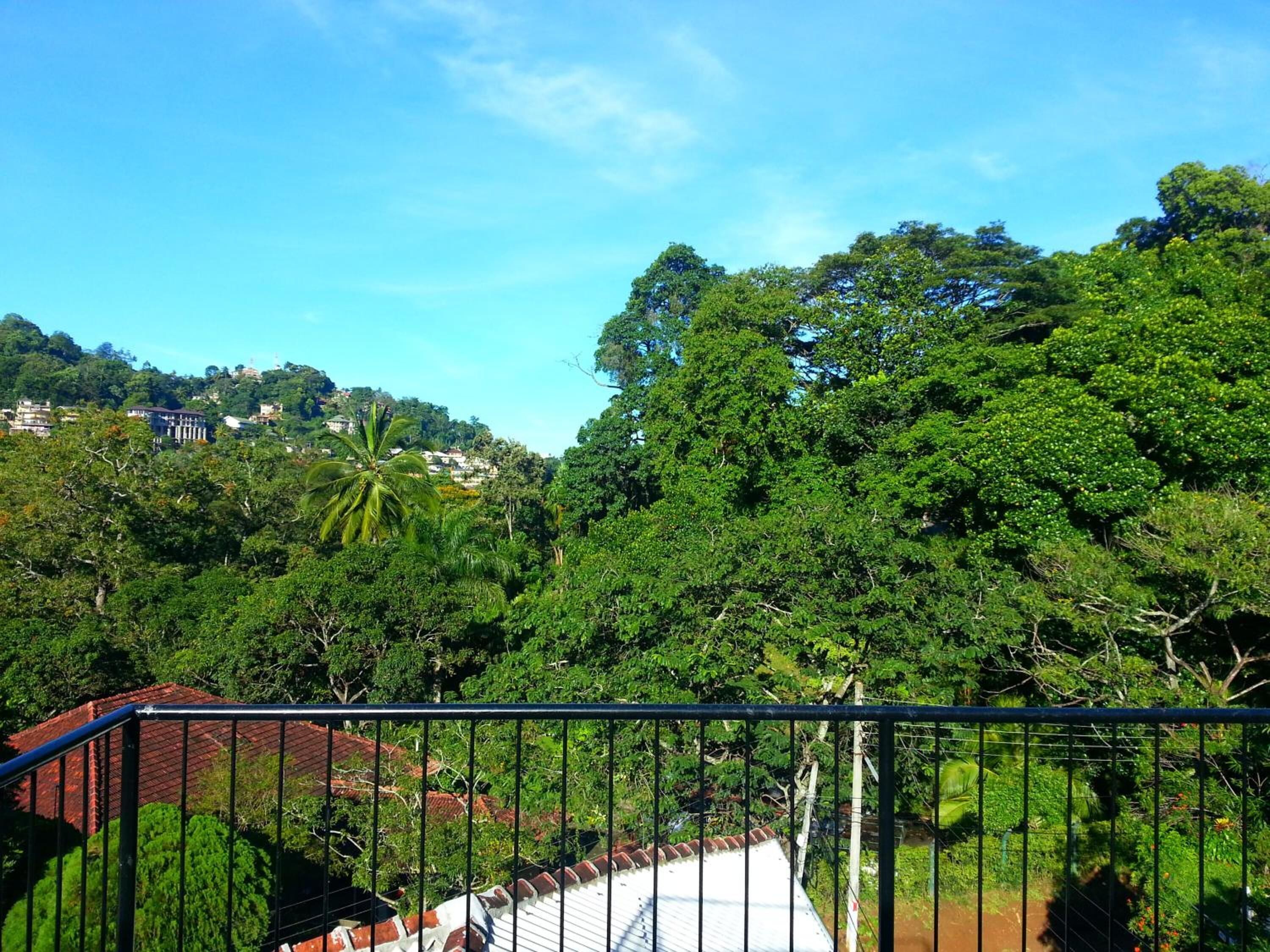 Villa 49
