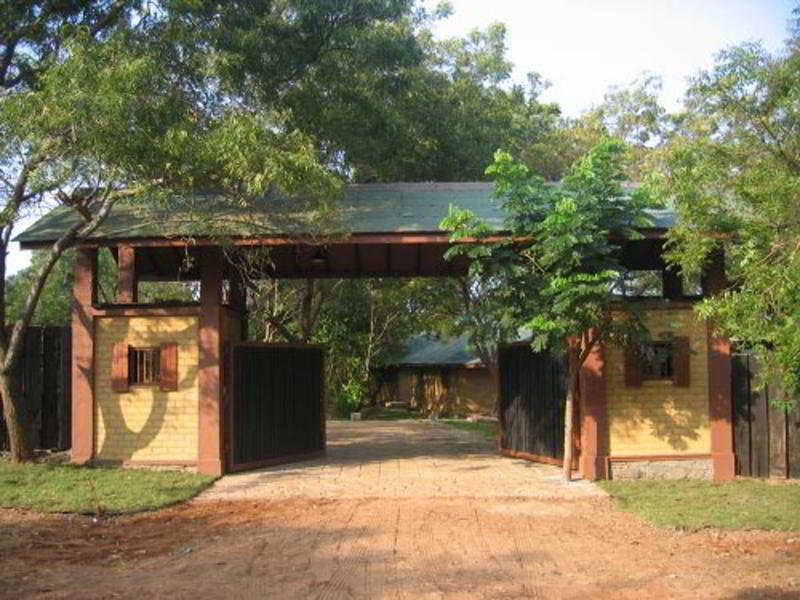Elephant Reach