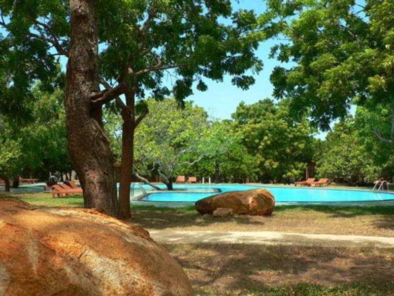 Elephant Reach