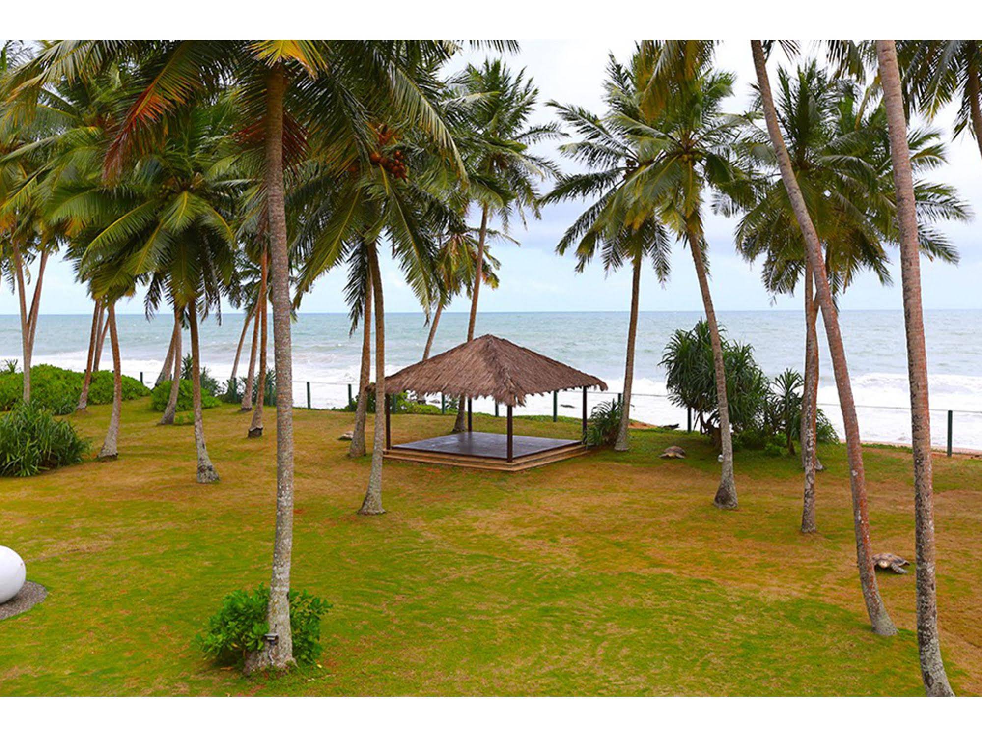 Green Turtle Villa