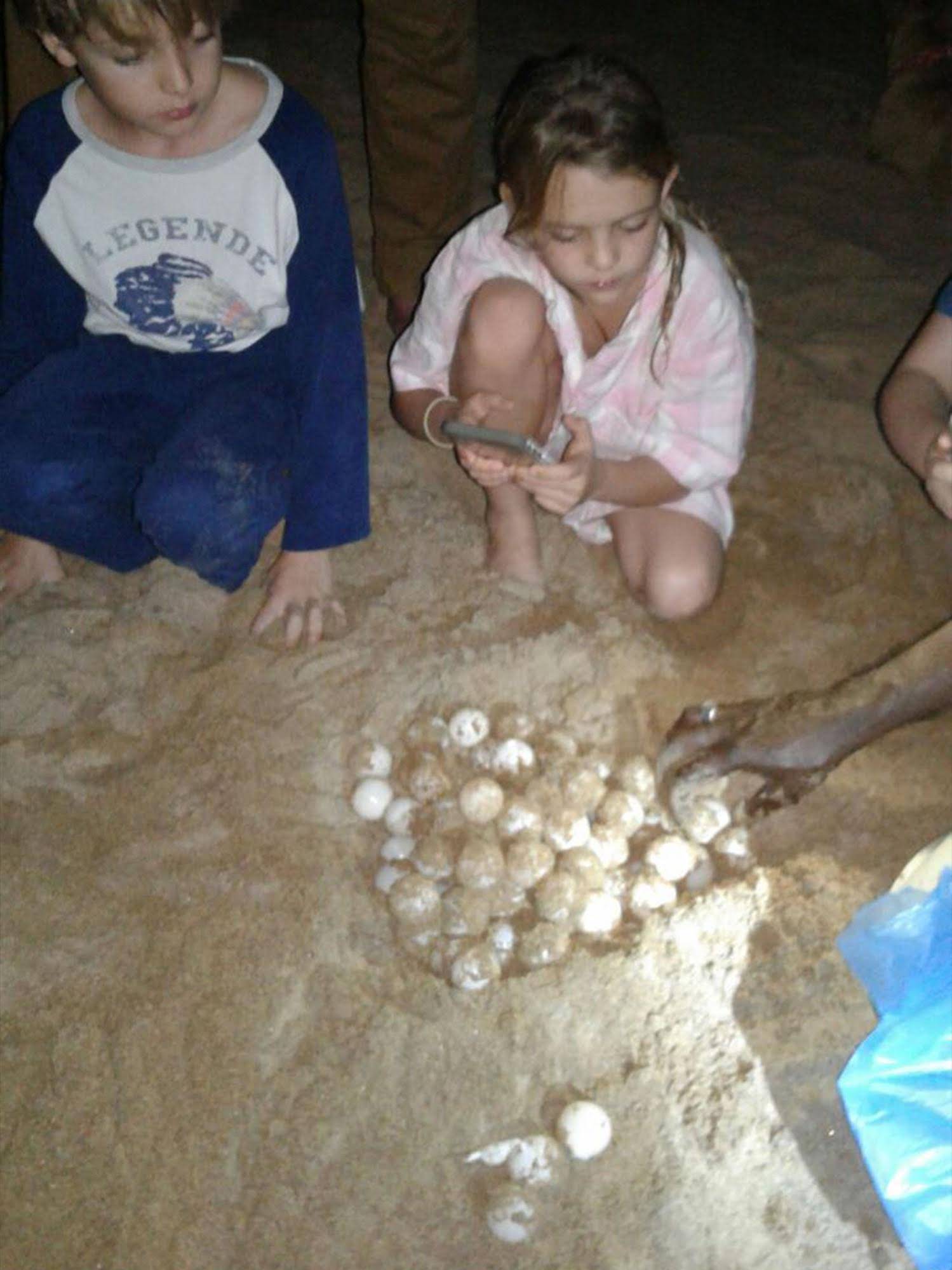 Green Turtle Villa