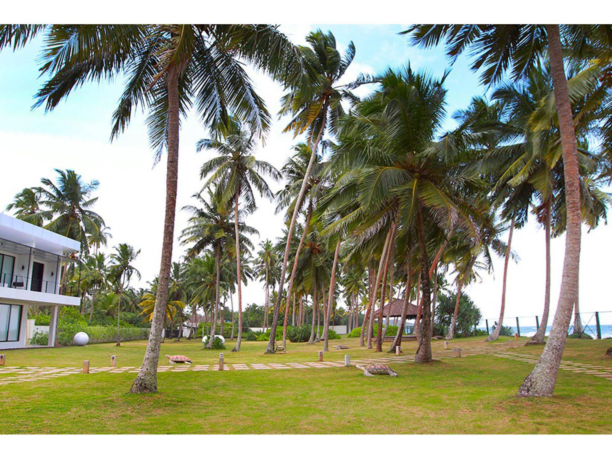 Green Turtle Villa