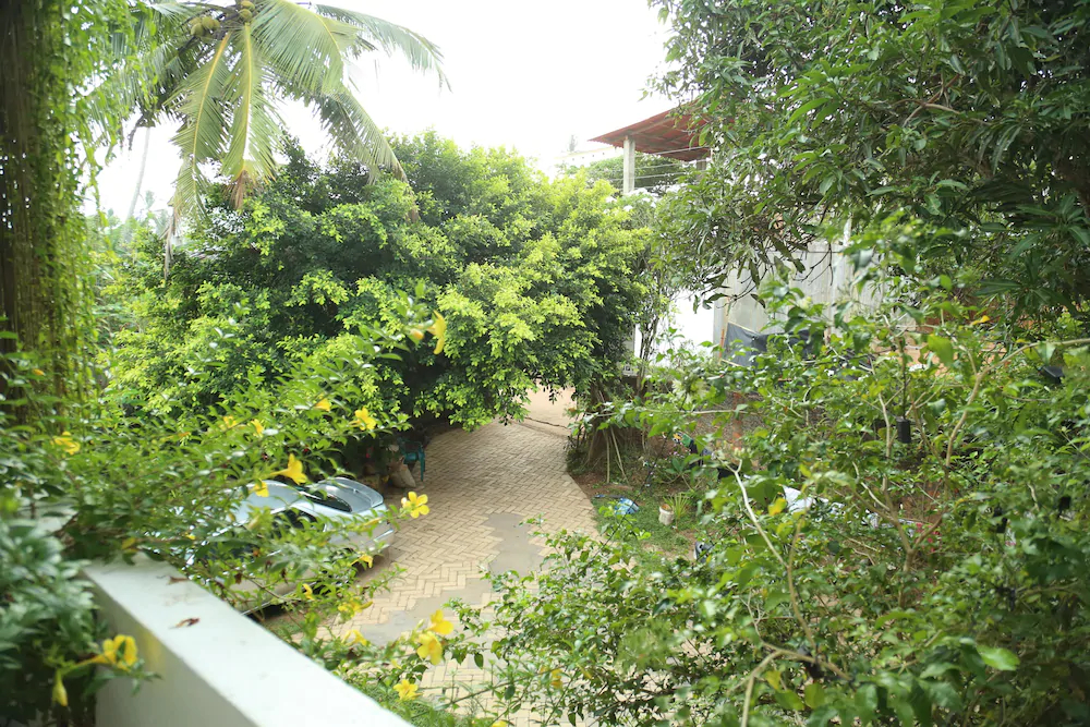 Mount Garden Guest House