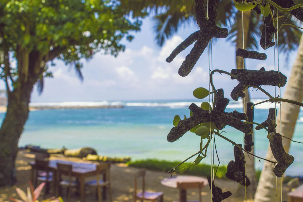Palm Villa Mirissa