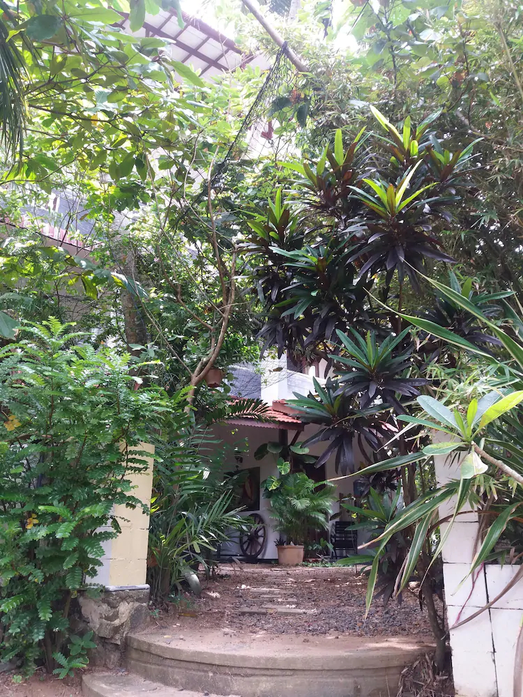 Peacock Wings Guest House