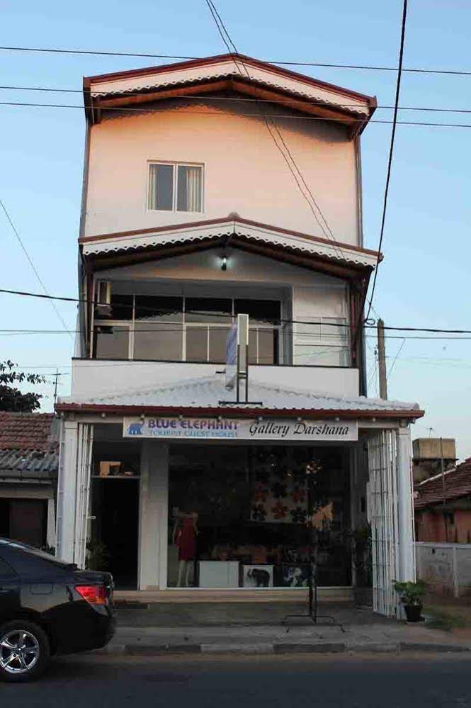 Blue Elephant Tourist Guest House