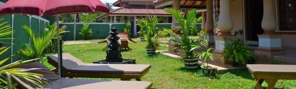 Fire Dragon Guest House