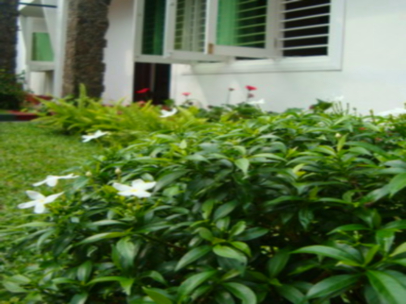 Hamilton House Negombo