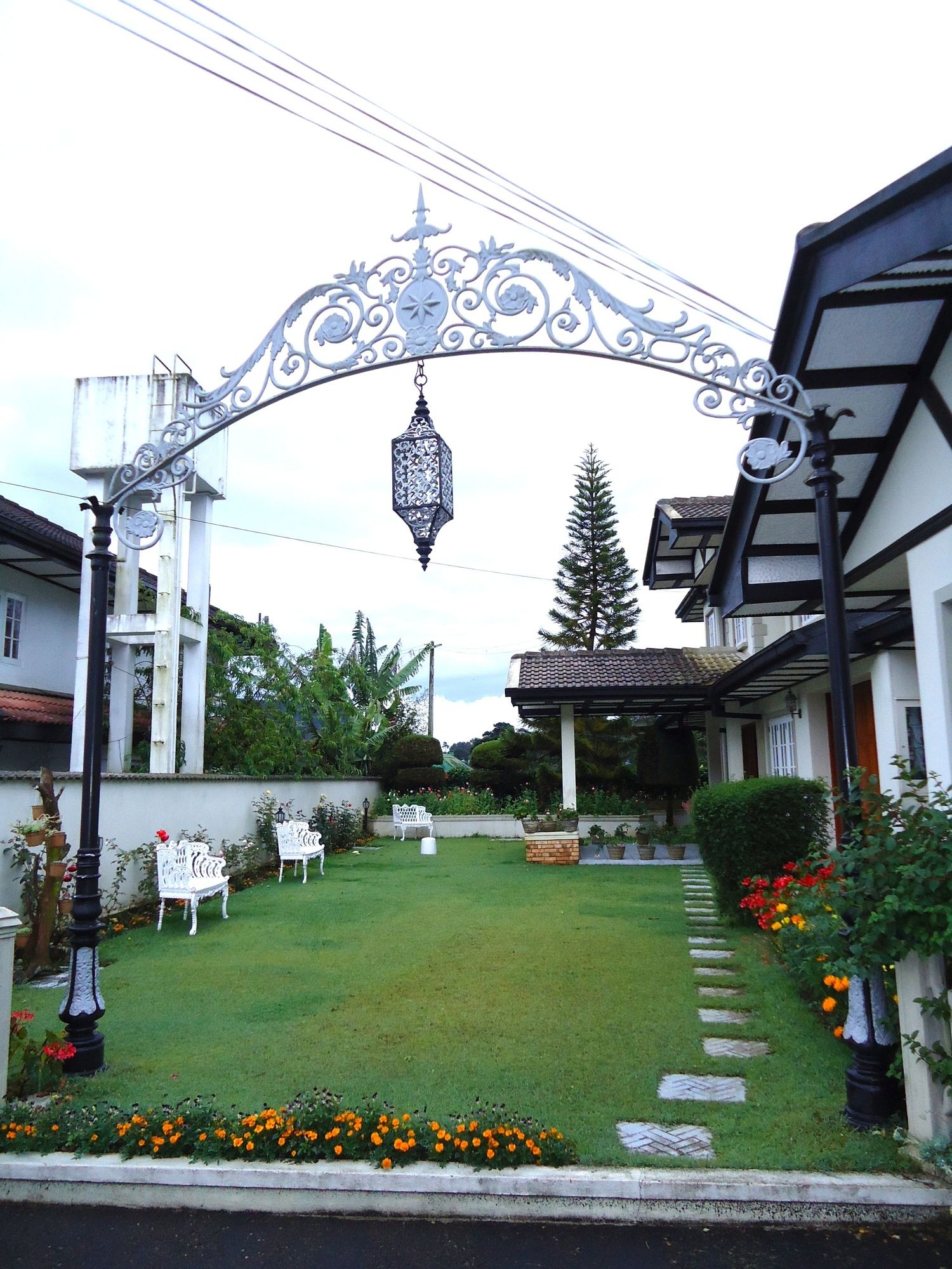 Cocoon Hills