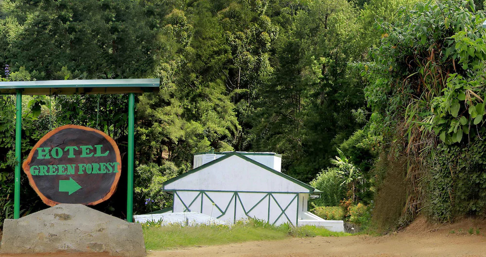 Green Forest Hotel by OYO Rooms