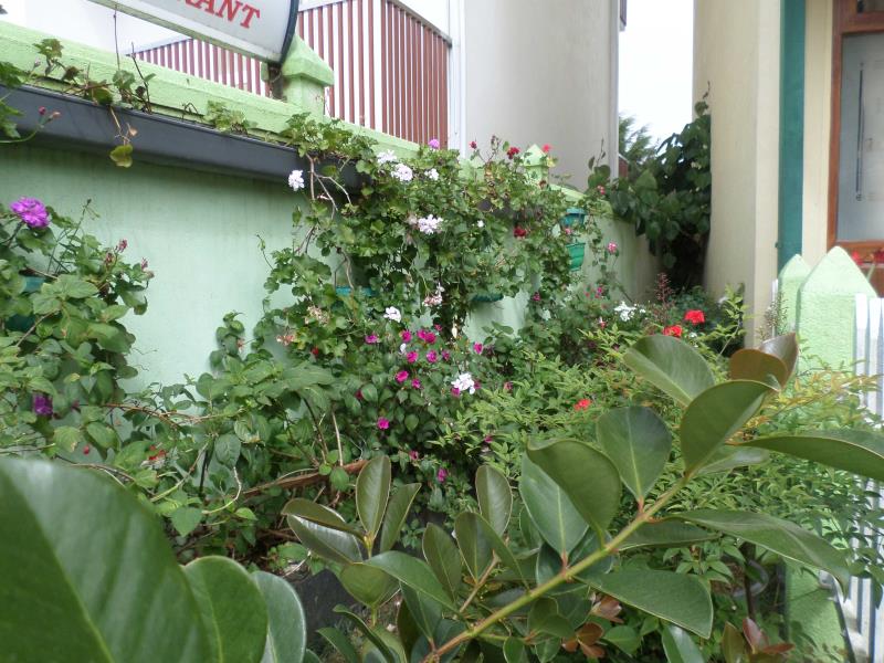 Green Garden Hotel