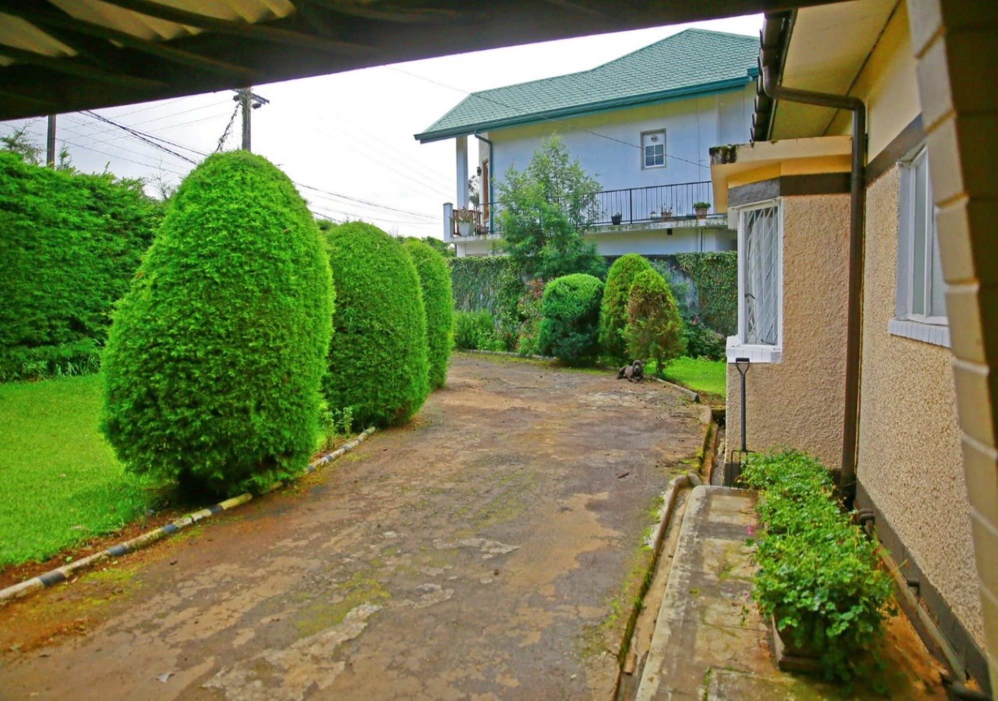 Hillsborough Cottage Nuwara Eliya