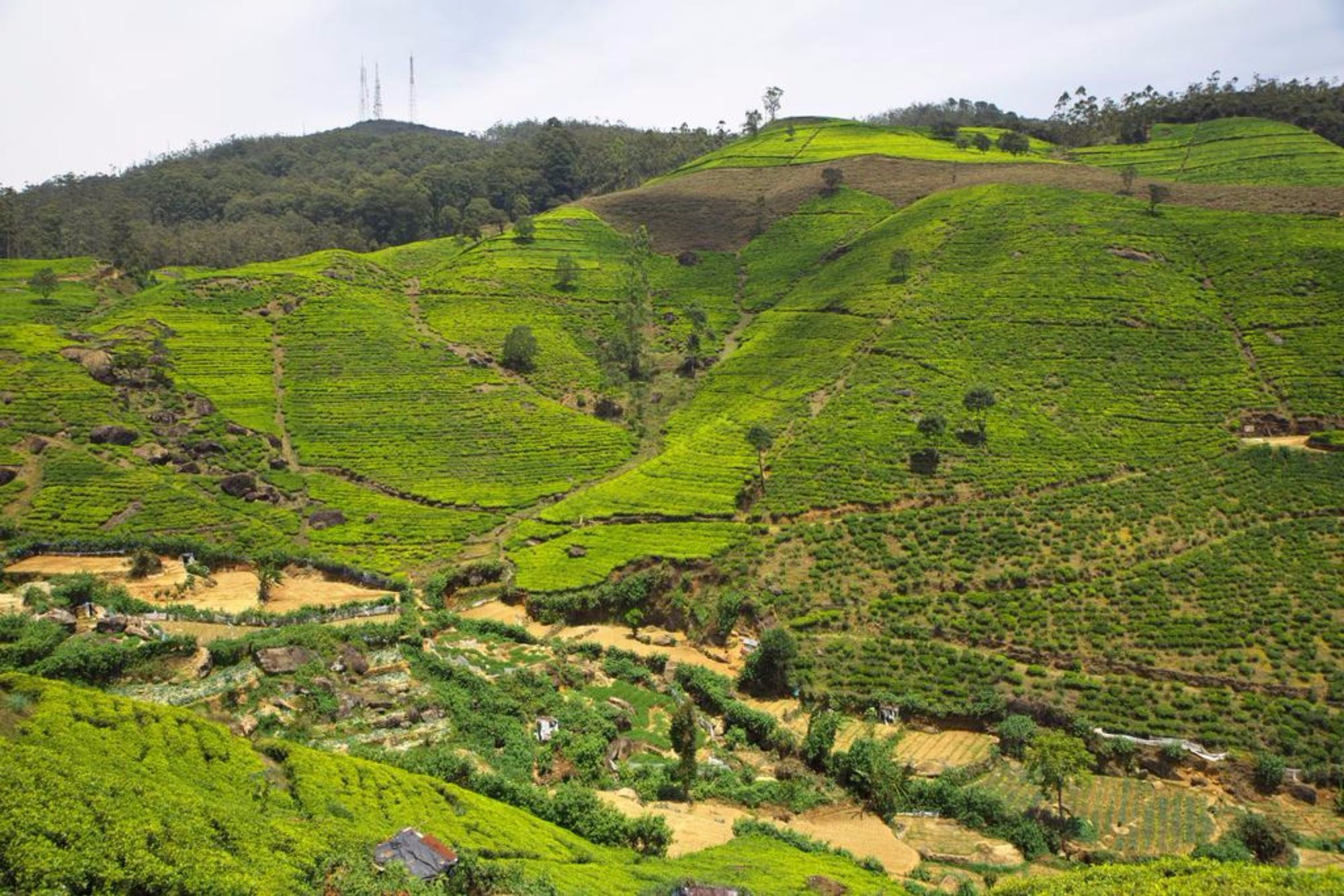 Hillsborough Cottage Nuwara Eliya