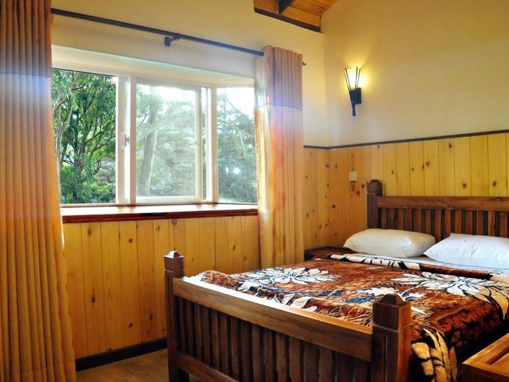 New Tour Inn