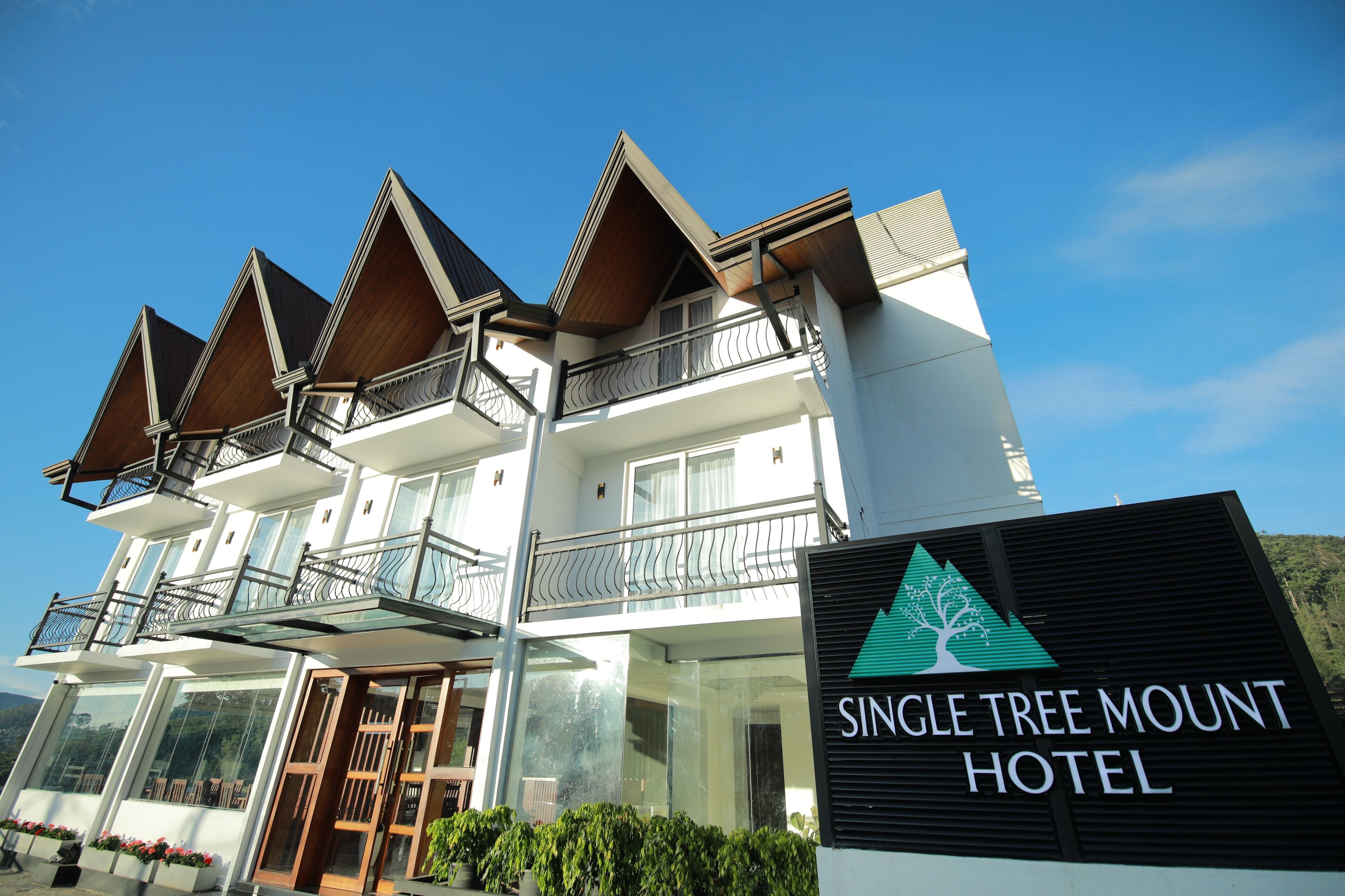 Single Tree Mount Hotel