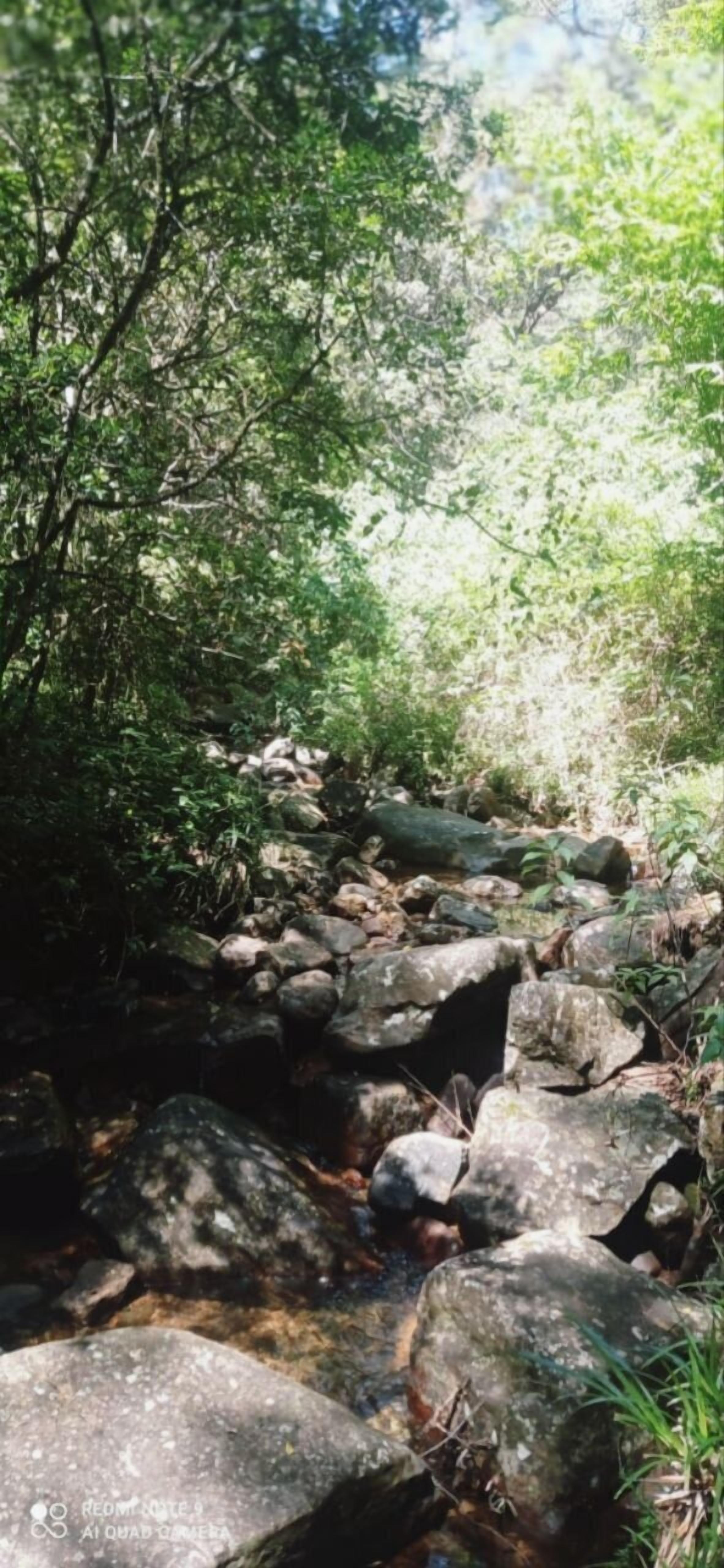 Thalagala Oya Resort