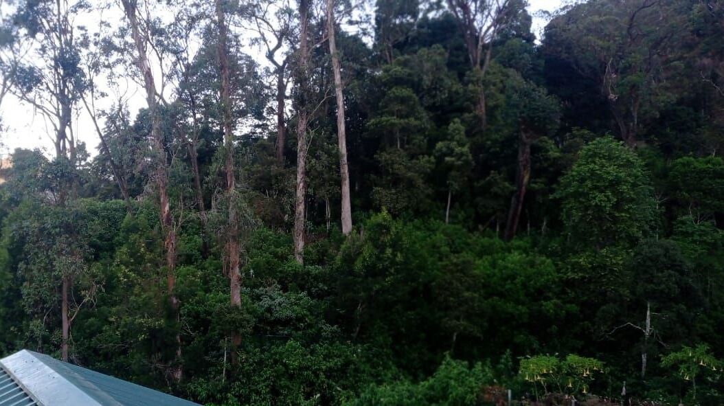 Thalagala Oya Resort