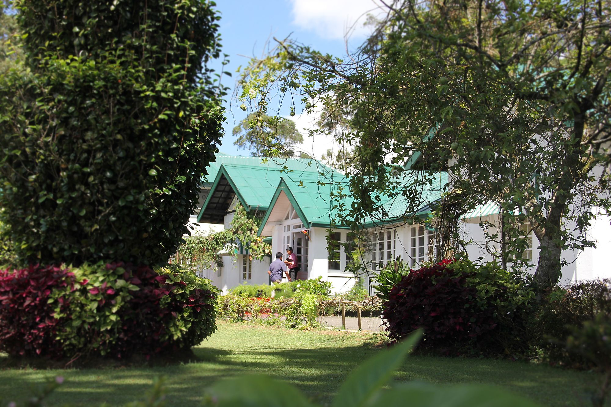 The Trevene Hotel
