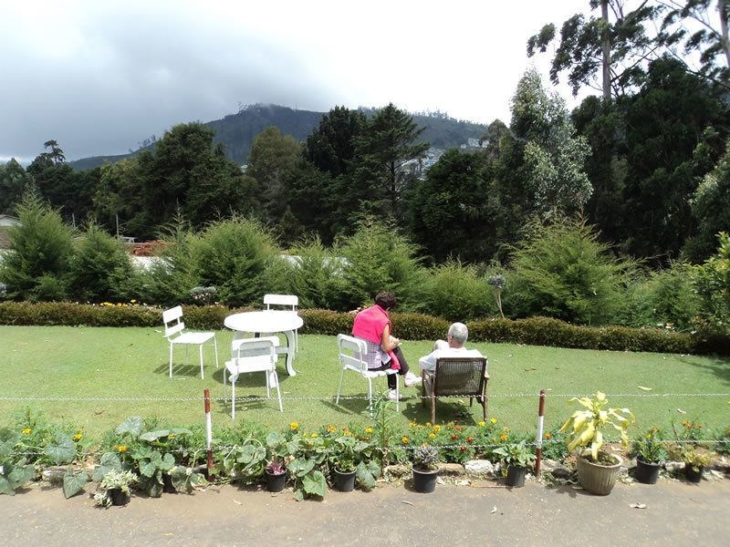 The Trevene Hotel