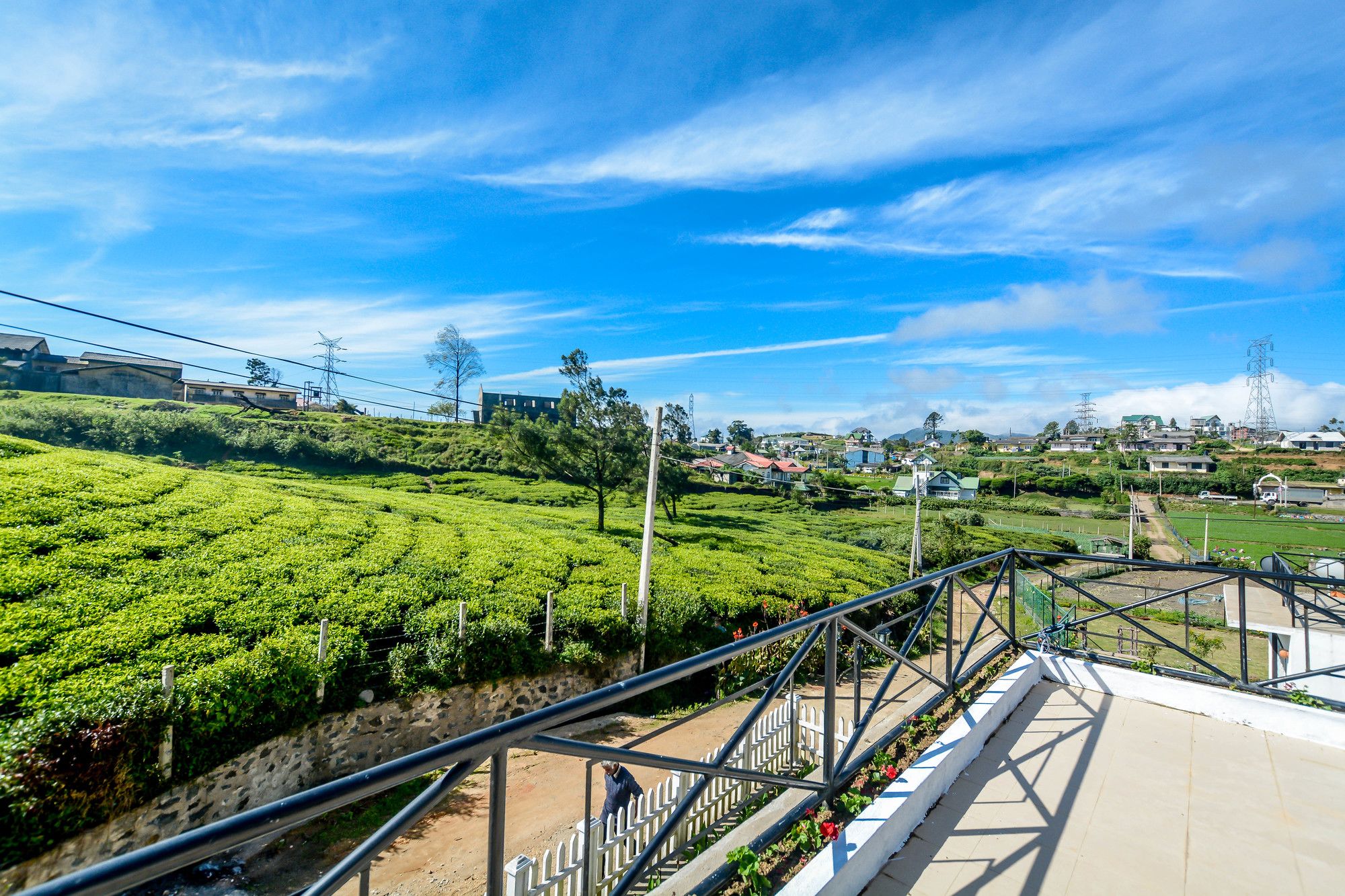Villa Tea Fields
