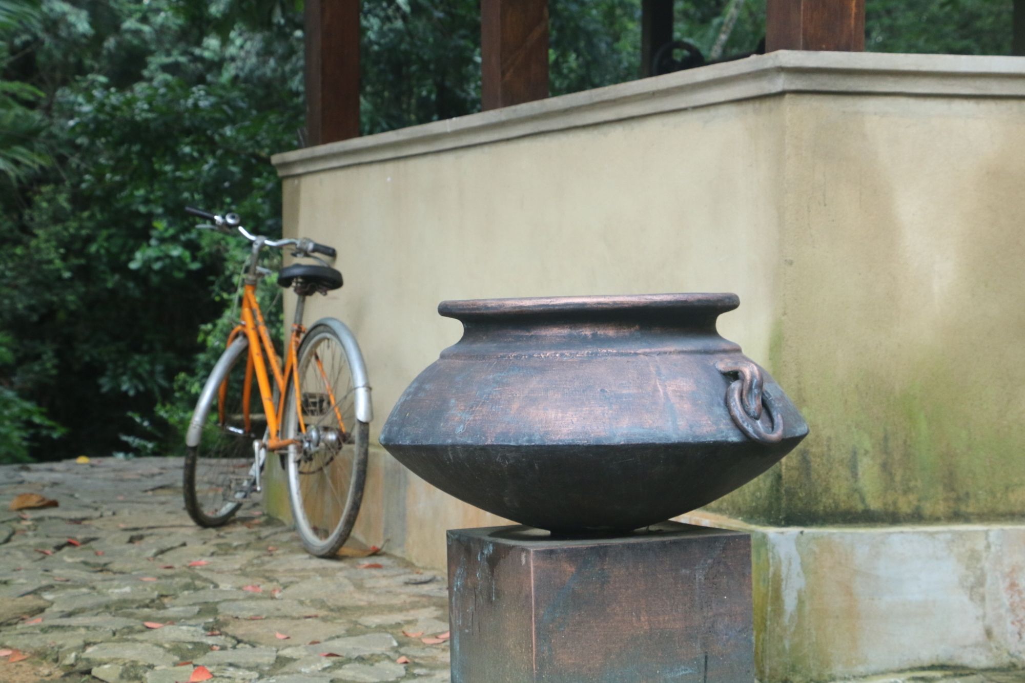 Monsoon Adventure Park