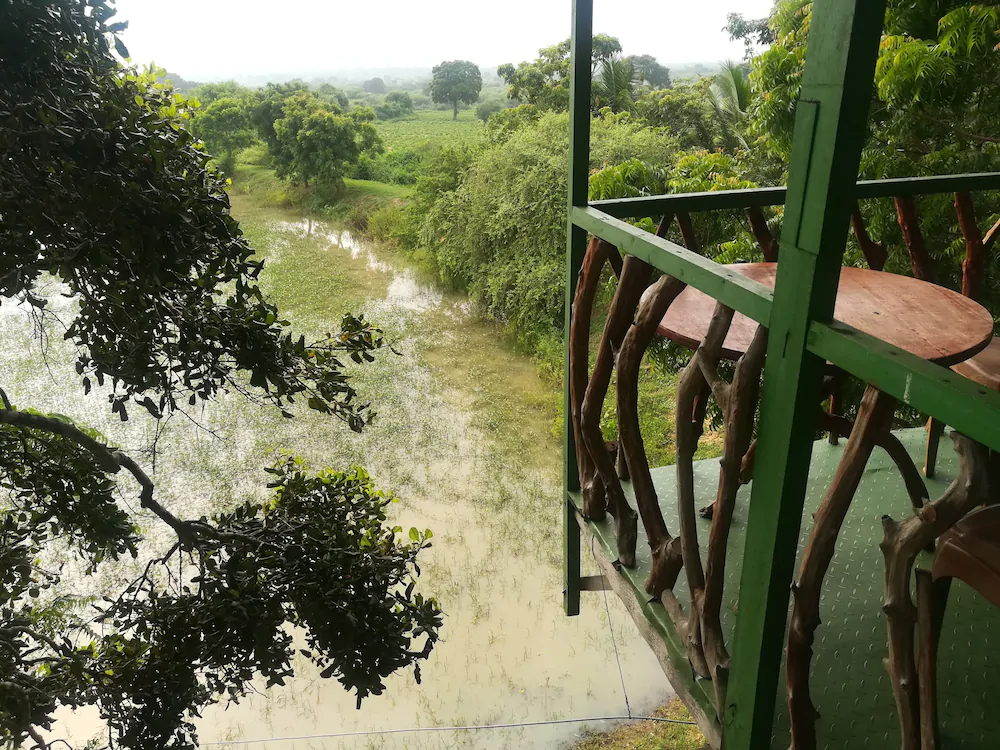 Wild Eco Safari