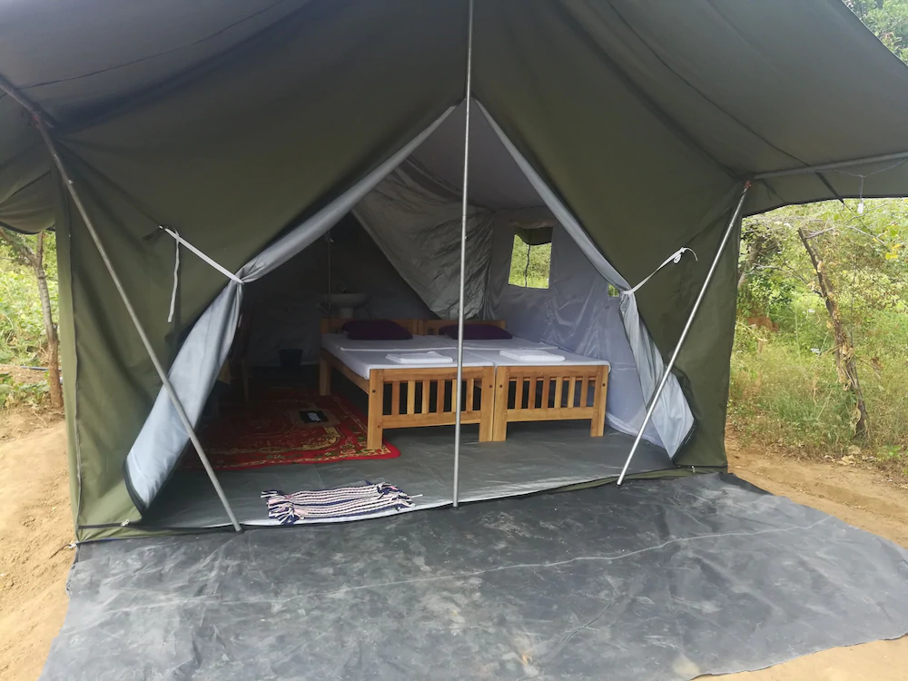 Wild Eco Safari