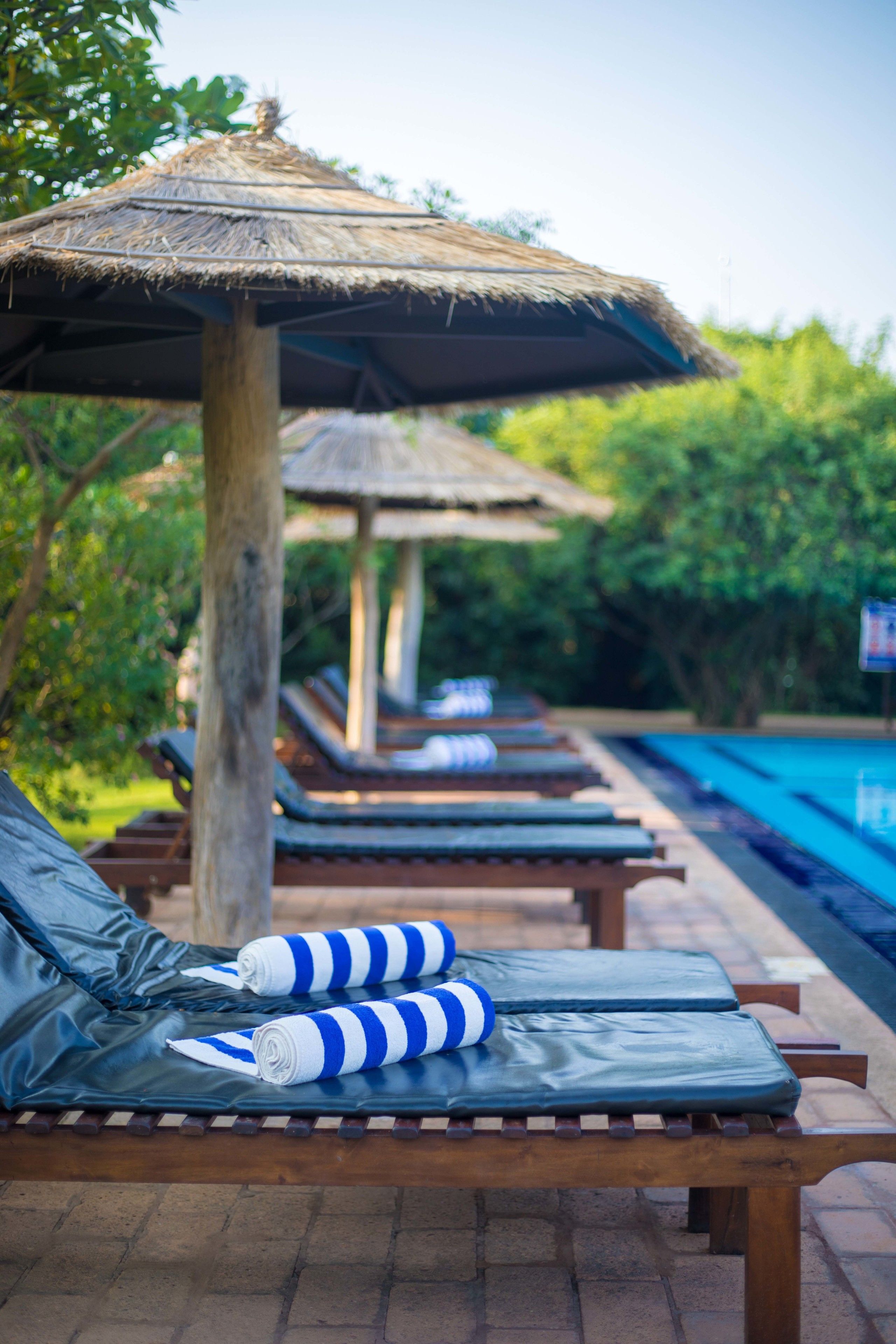 Camellia Resort and Spa